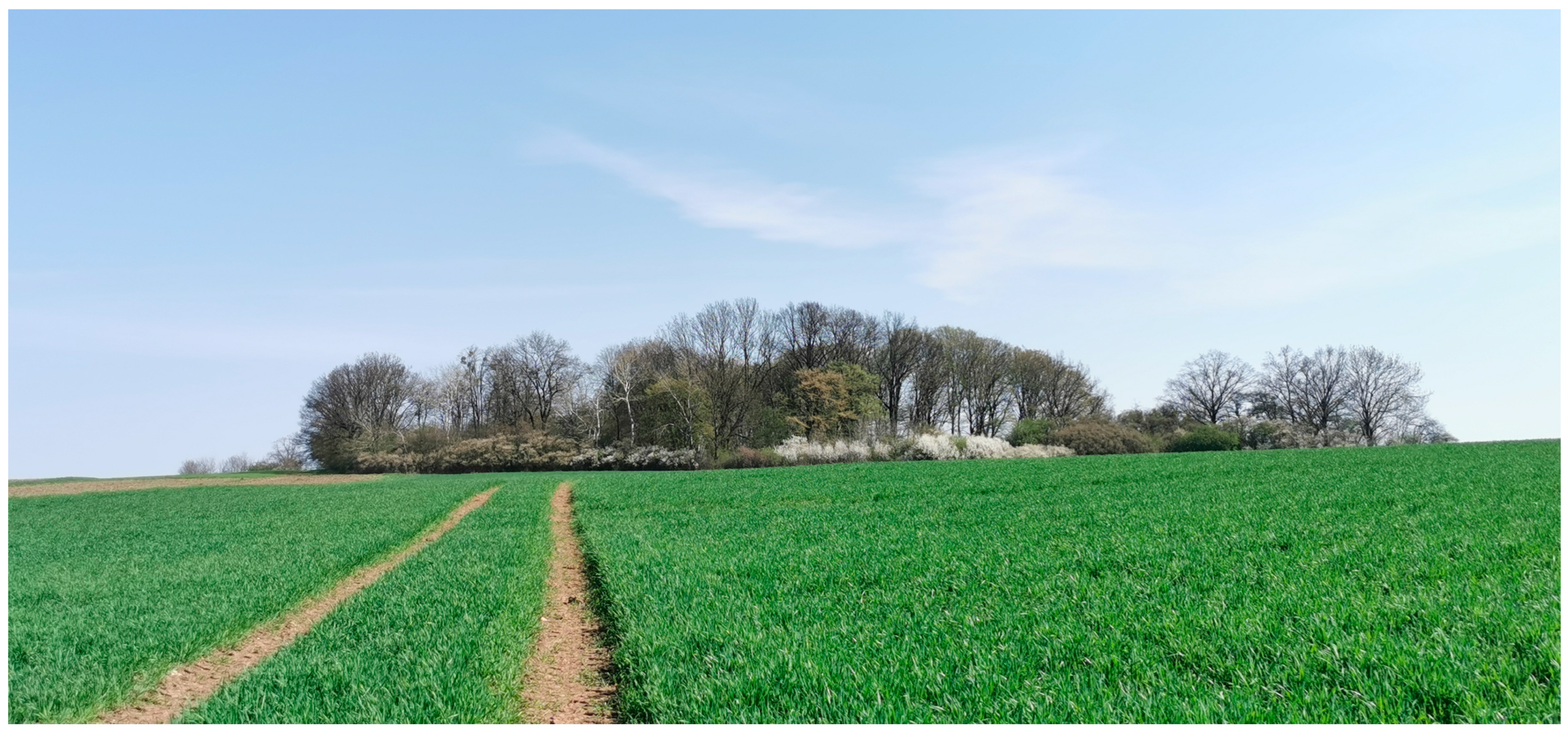 Agriculture 14 01400 g002