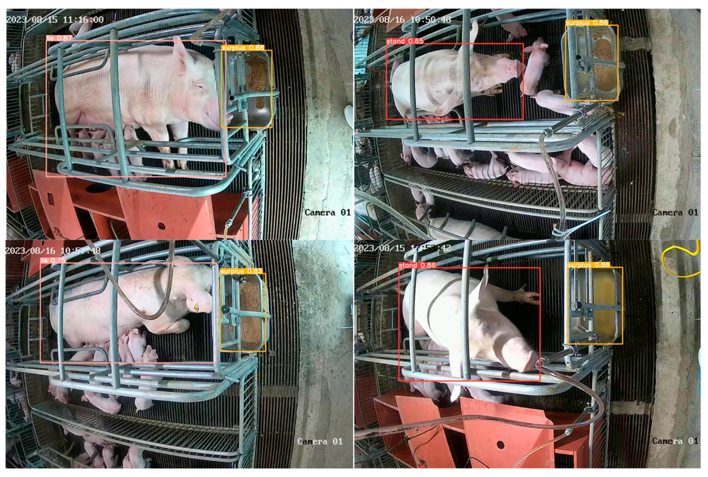 Agriculture 14 01402 g008