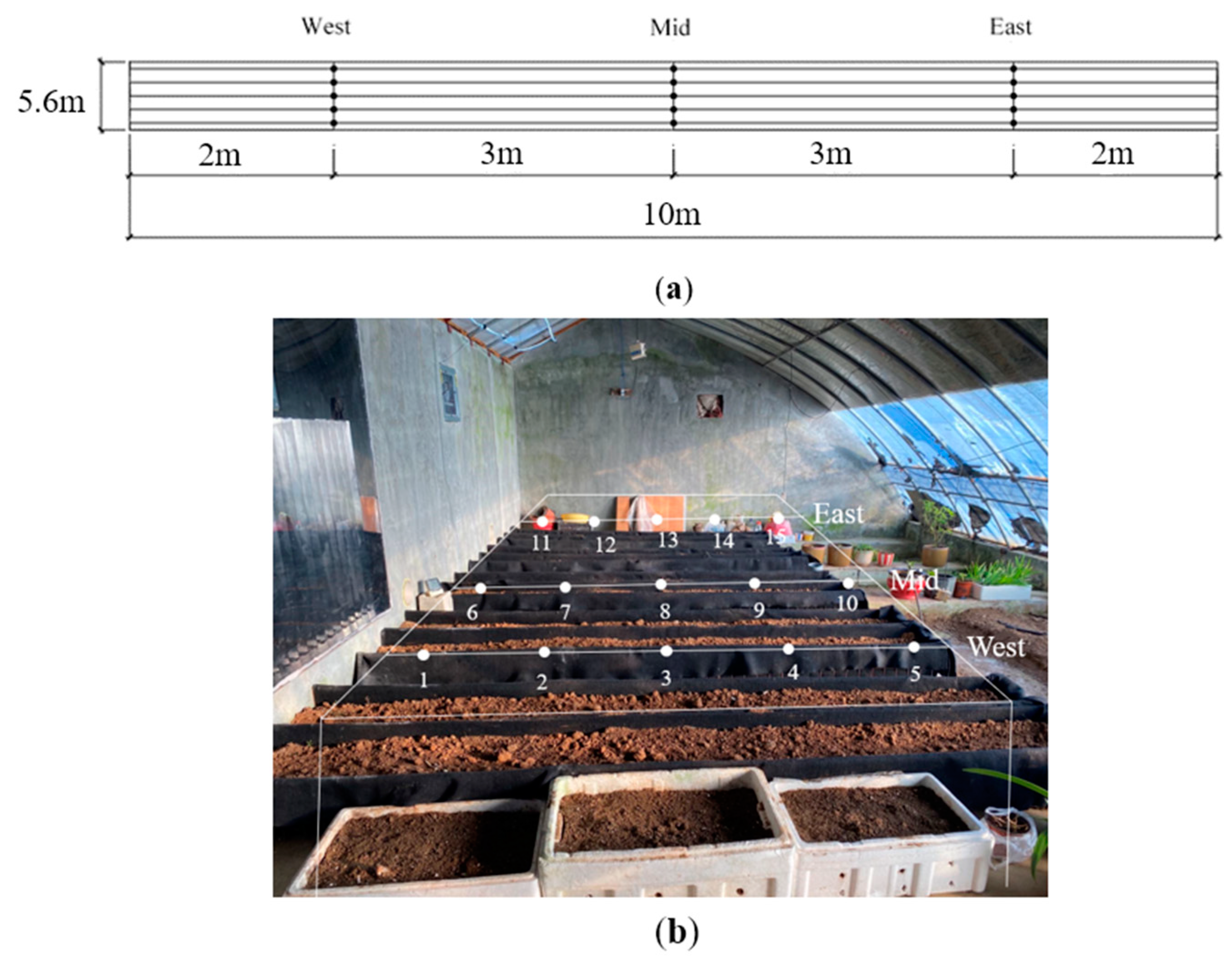 Agriculture 14 01410 g005 Agriculture 14 01410 g005
