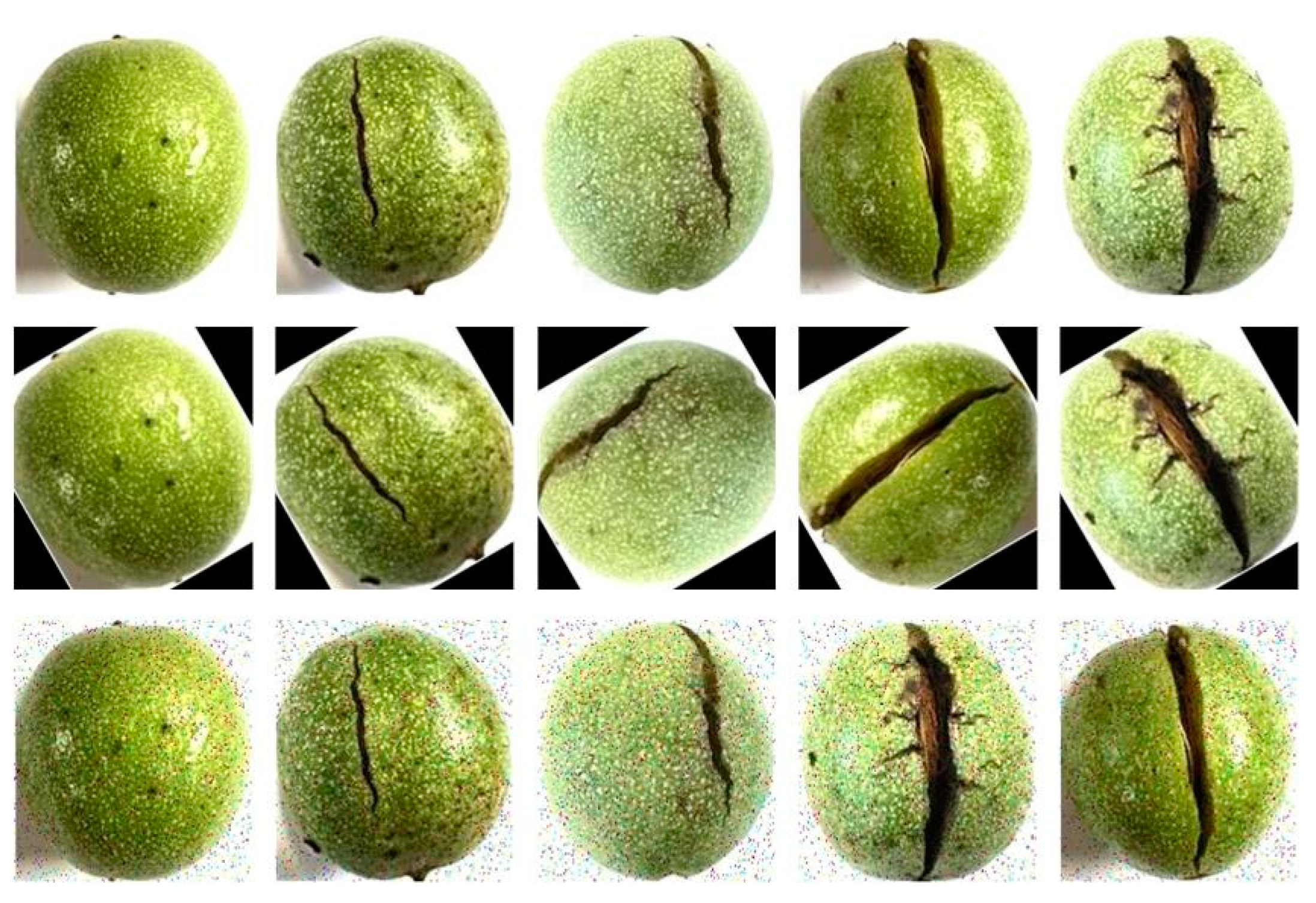 Agriculture 14 01422 g003