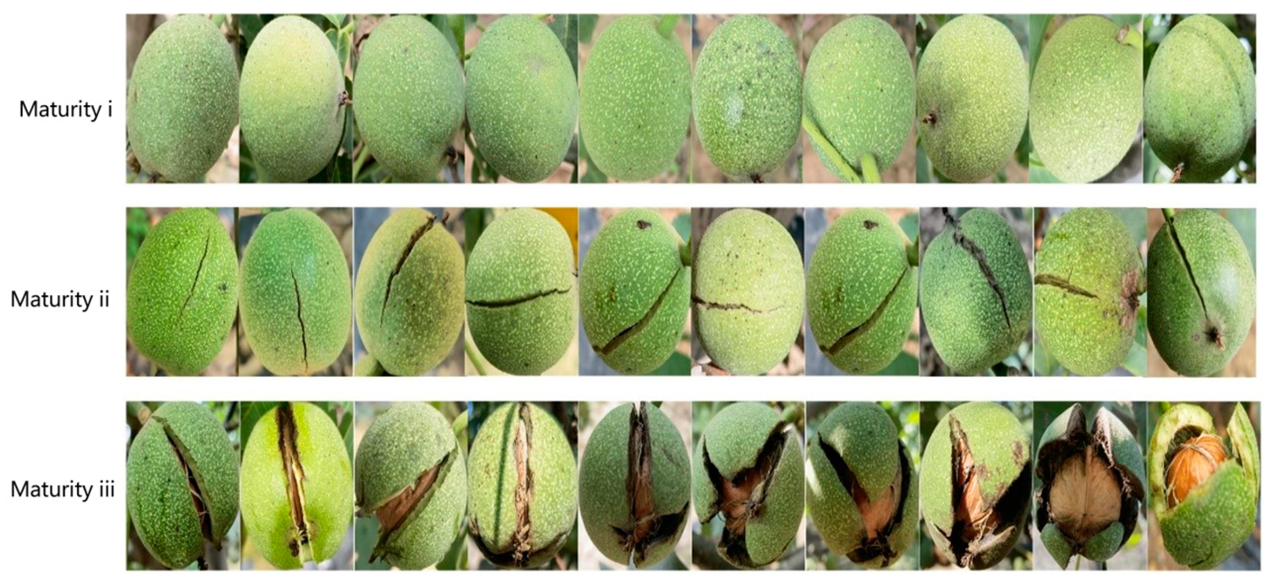 Agriculture 14 01422 g009