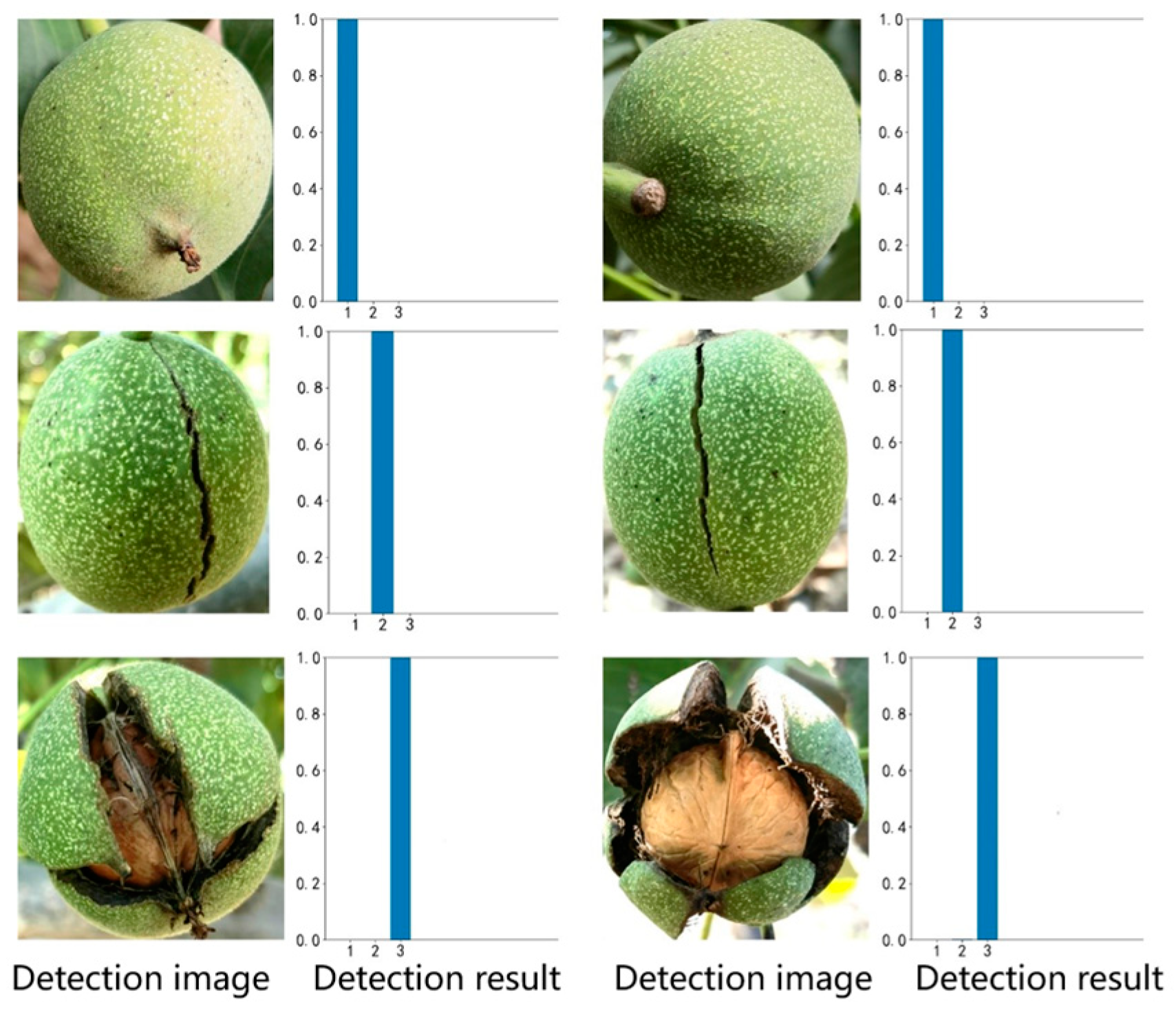 Agriculture 14 01422 g010