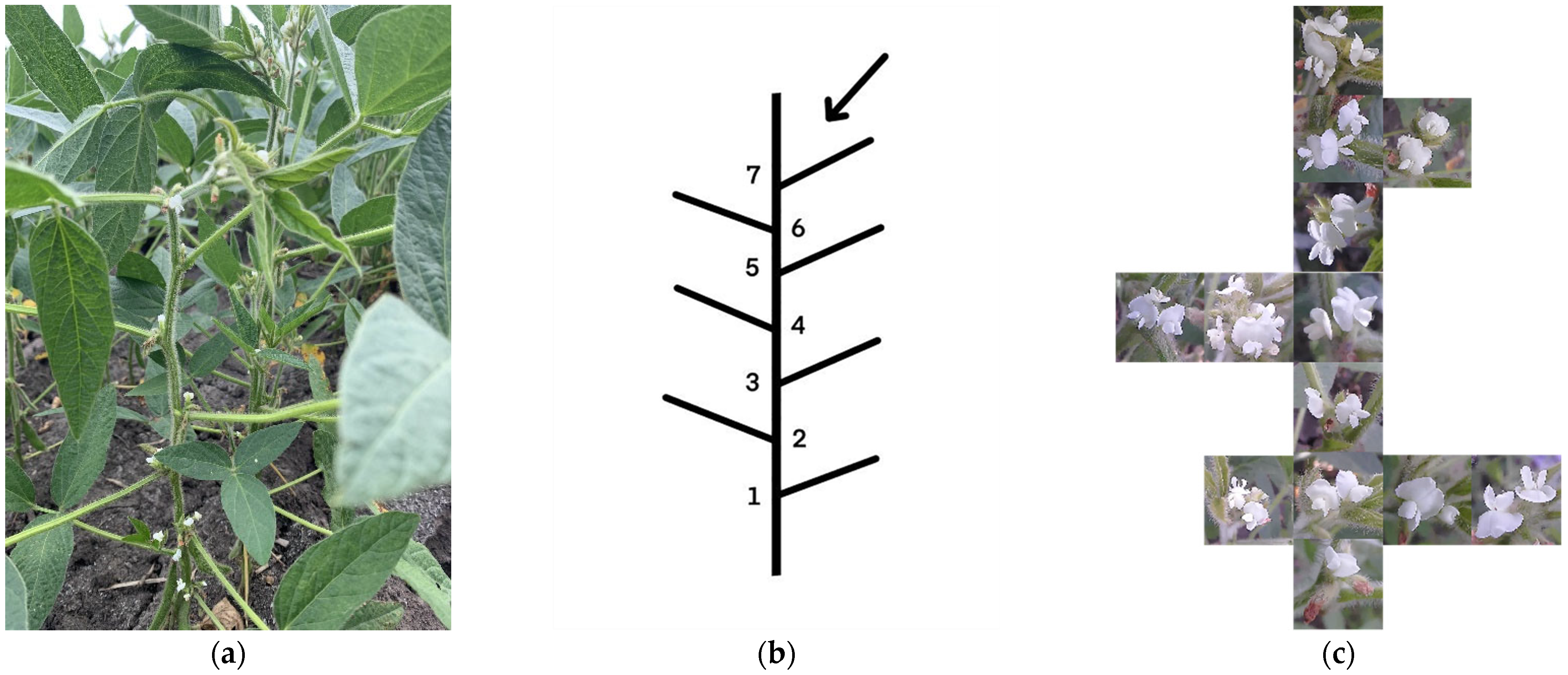 Agriculture 14 01423 g001