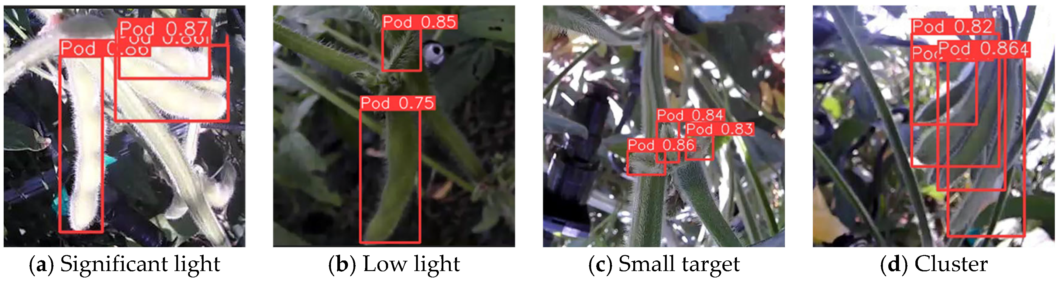 Agriculture 14 01423 g011