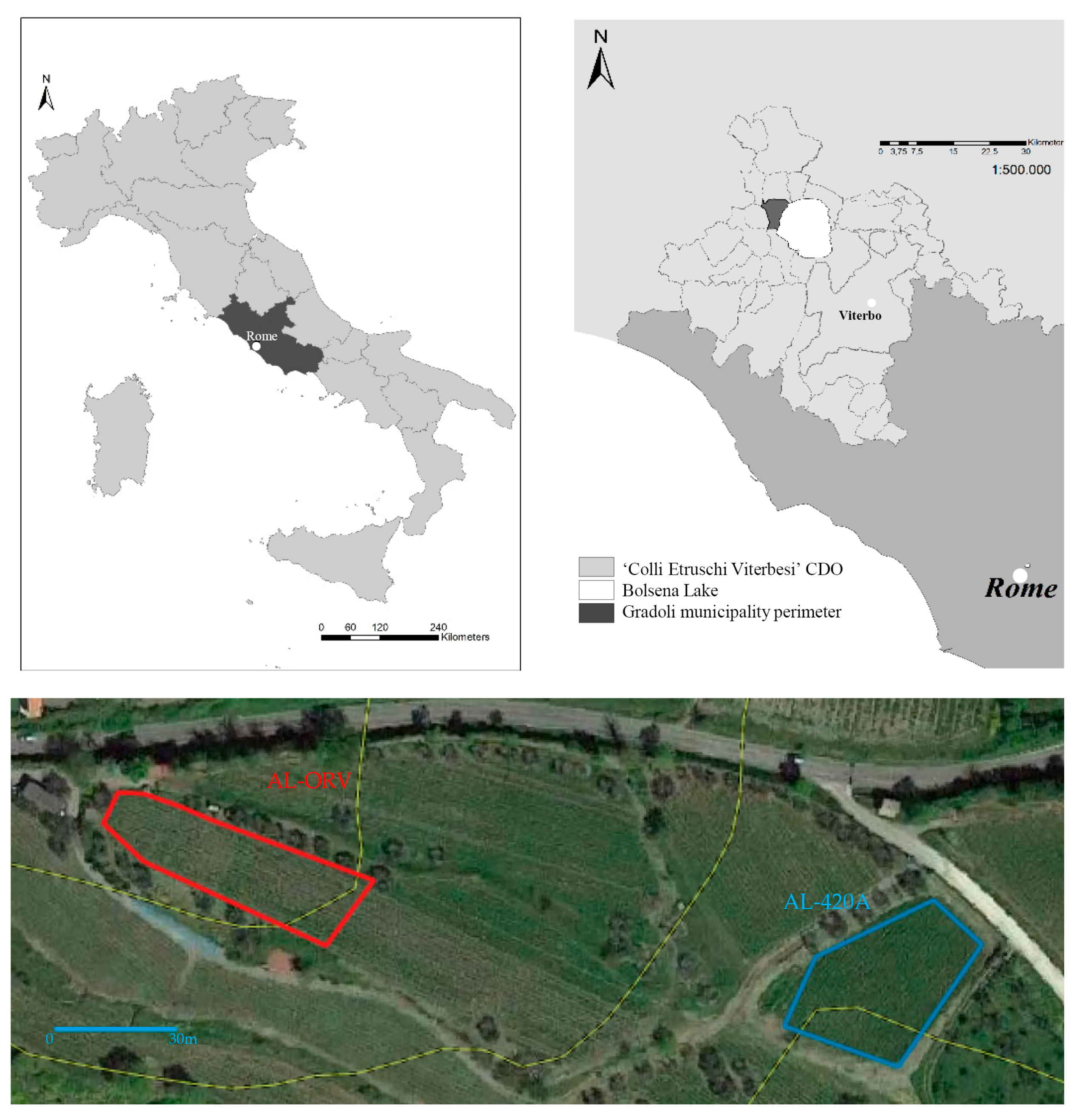 Agriculture 14 01425 g001 Agriculture 14 01425 g001