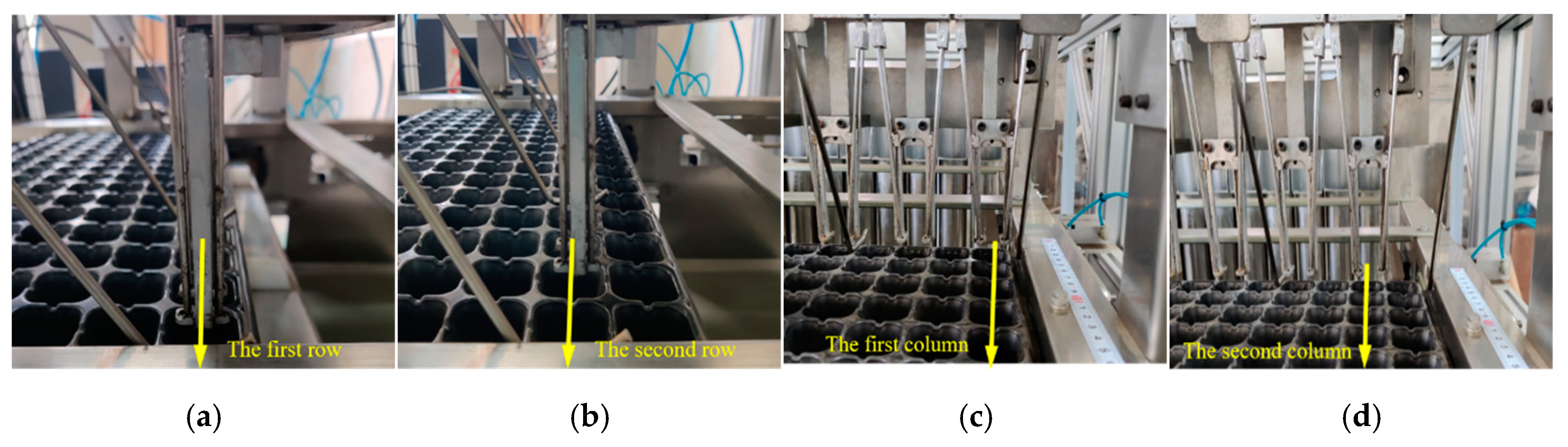 Agriculture 14 01431 g013