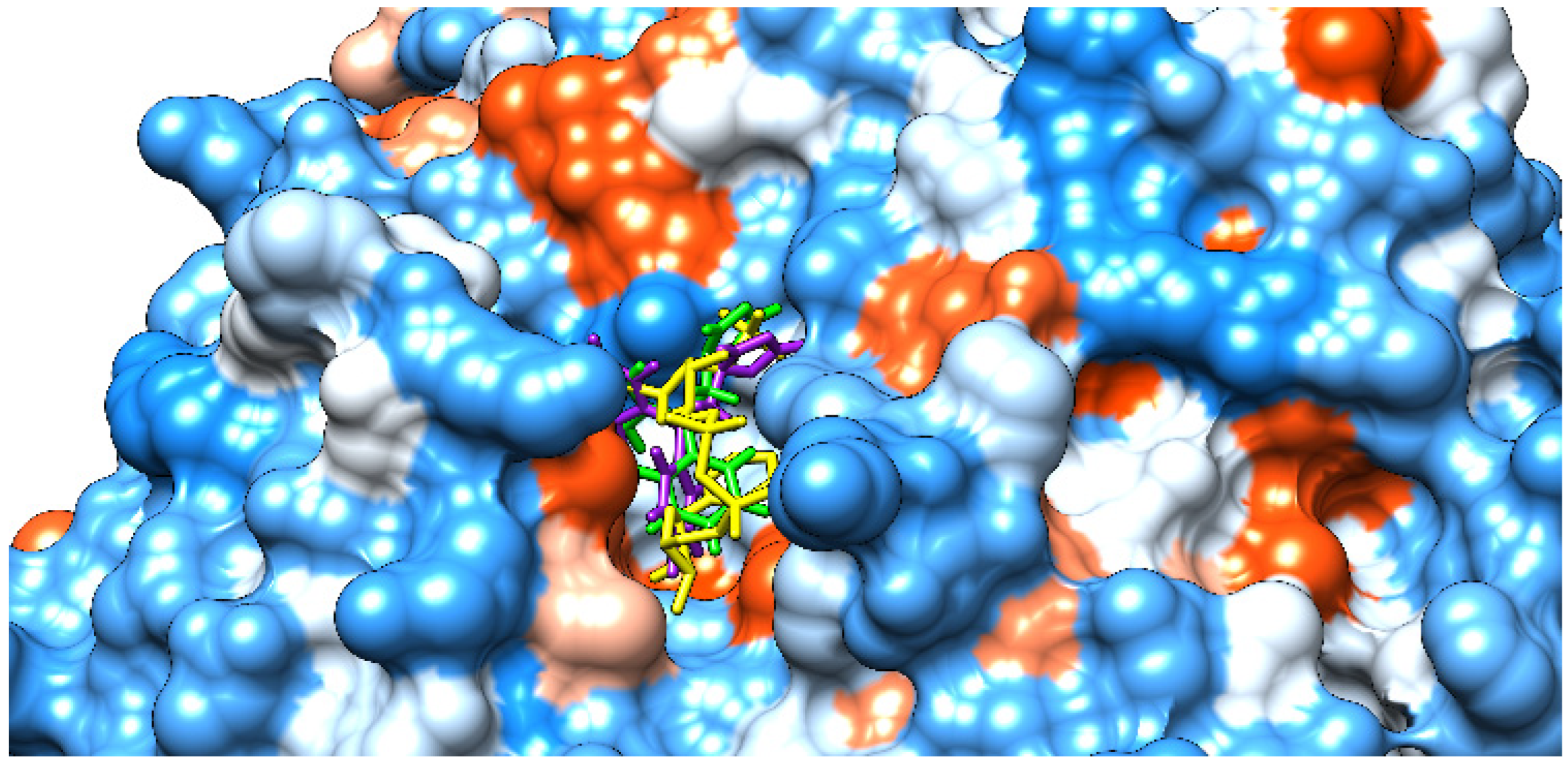 Agriculture 14 01445 g011