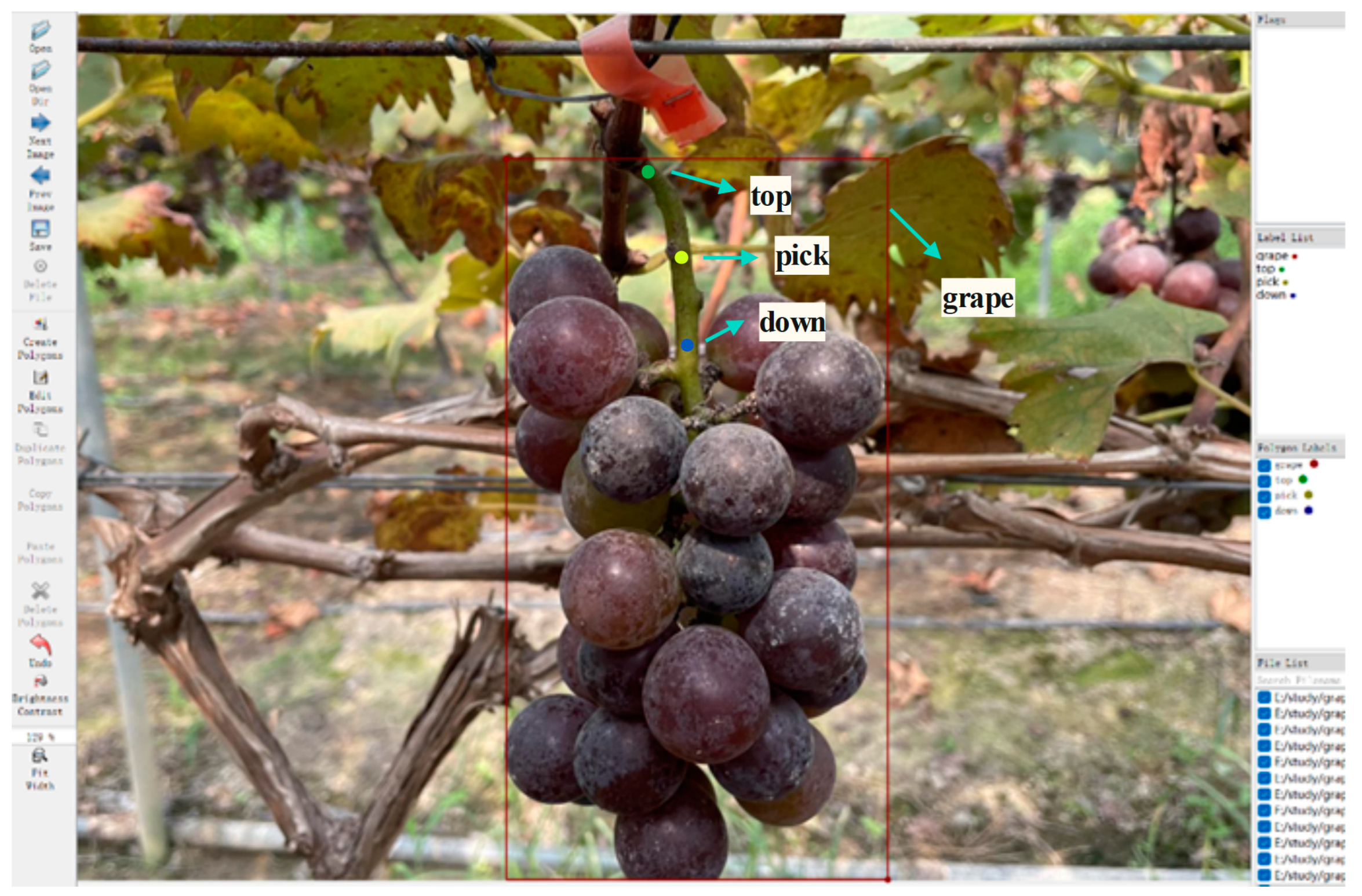 Agriculture 14 01449 g003