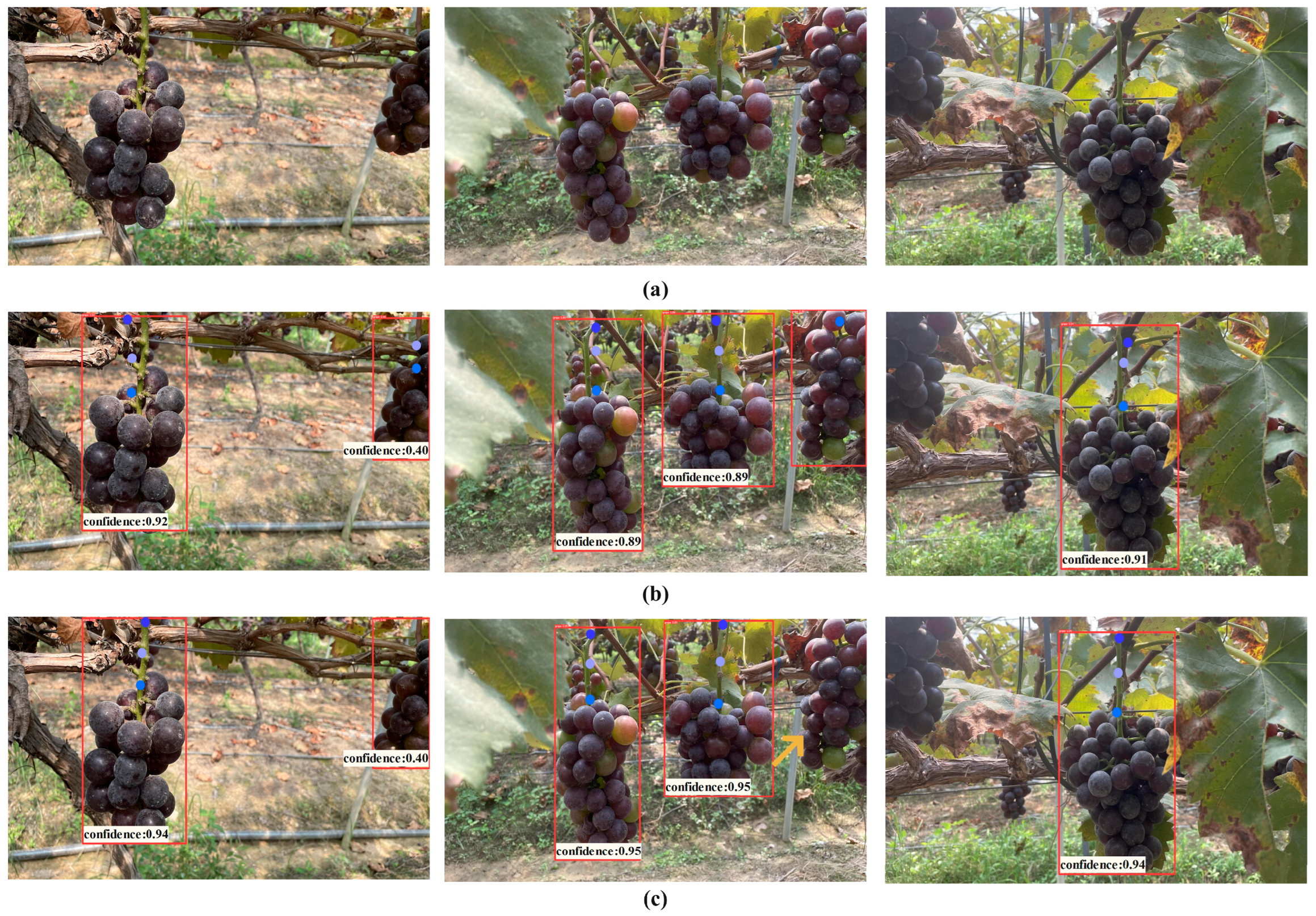 Agriculture 14 01449 g009