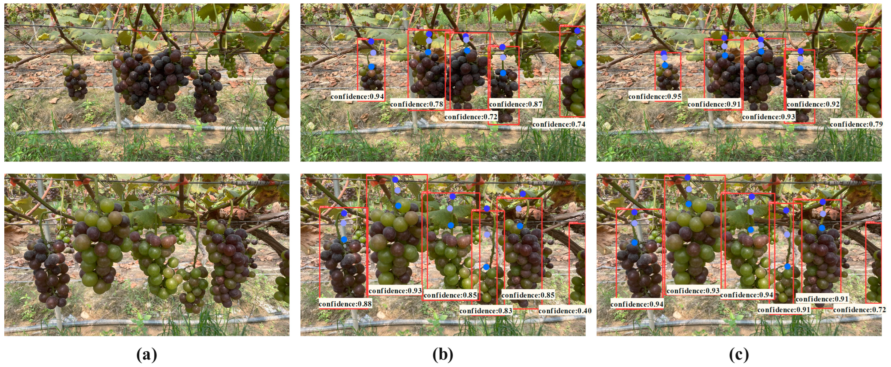 Agriculture 14 01449 g011