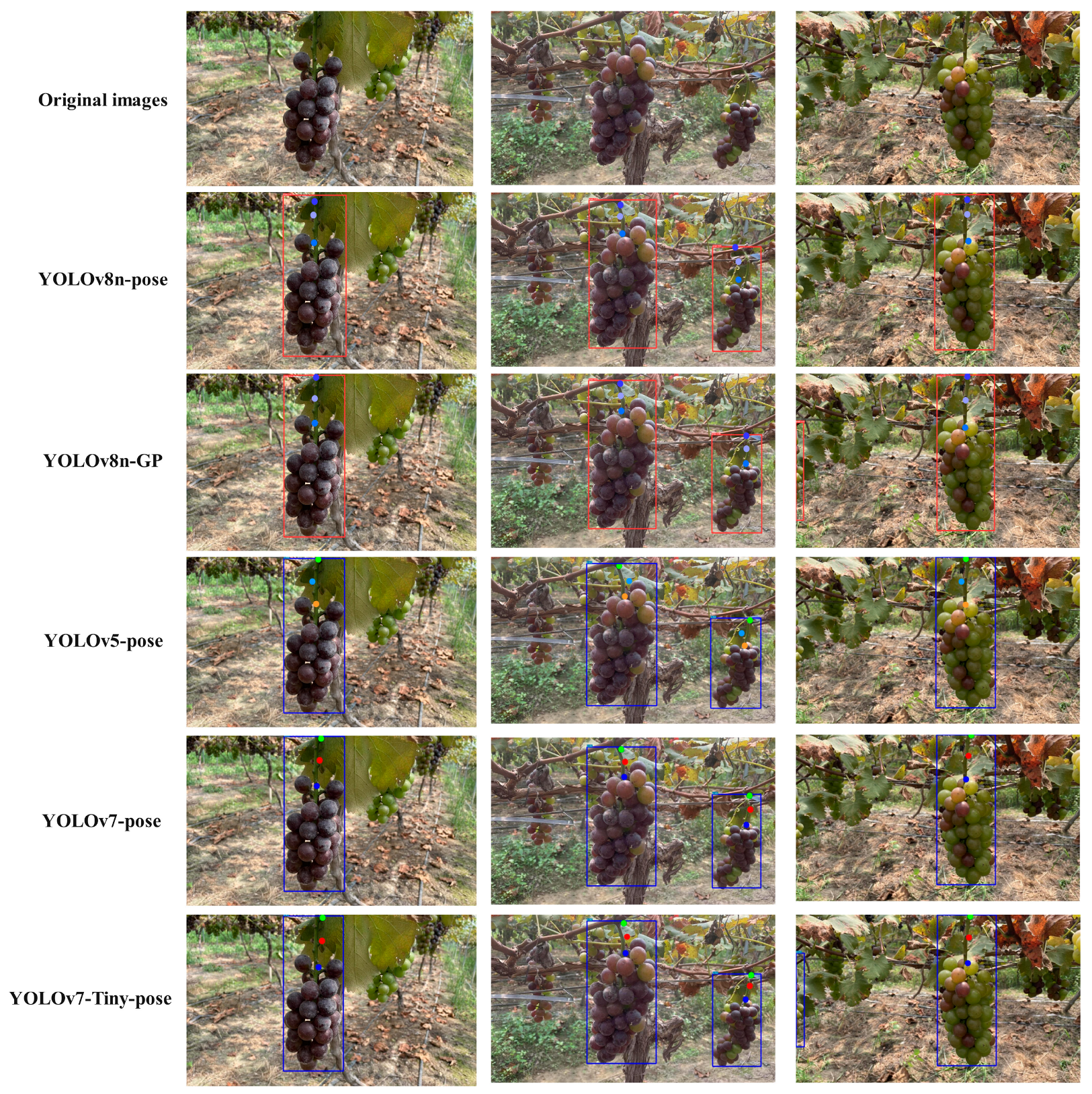 Agriculture 14 01449 g012