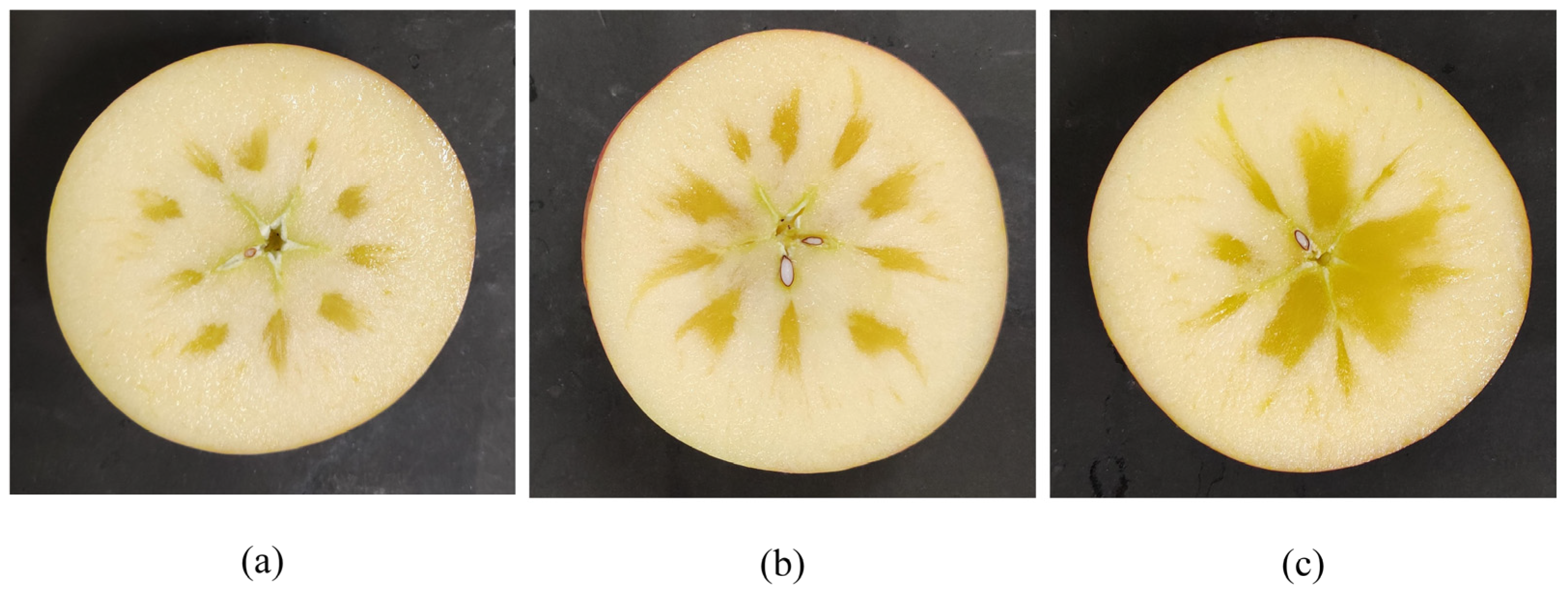 Agriculture 14 01450 g001