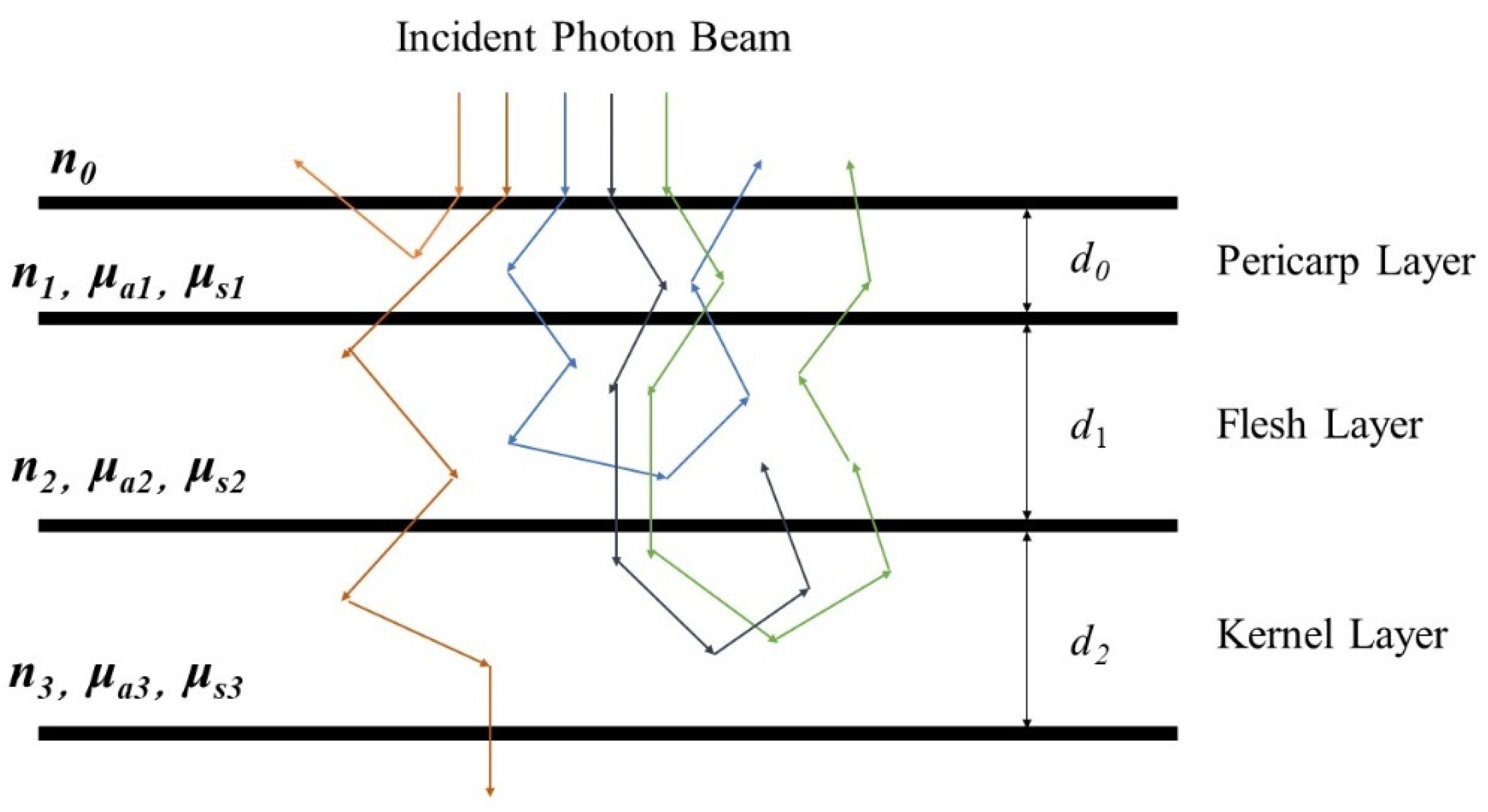 Agriculture 14 01450 g003