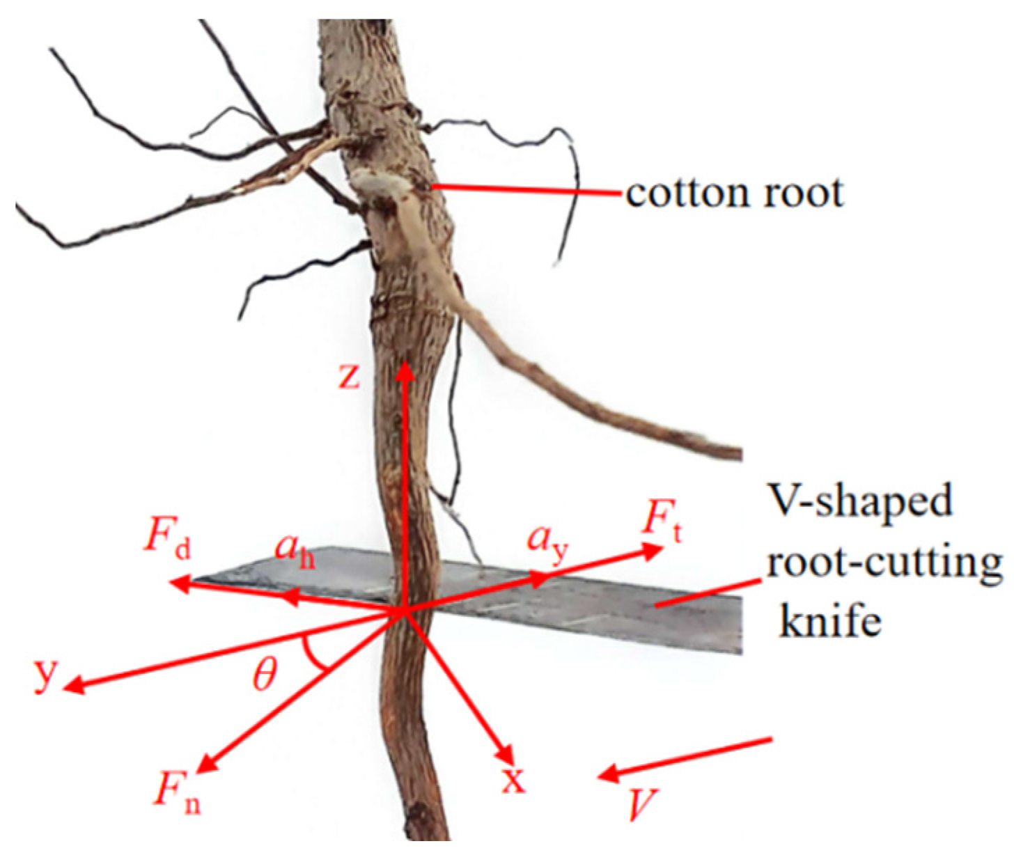 Agriculture 14 01451 g002