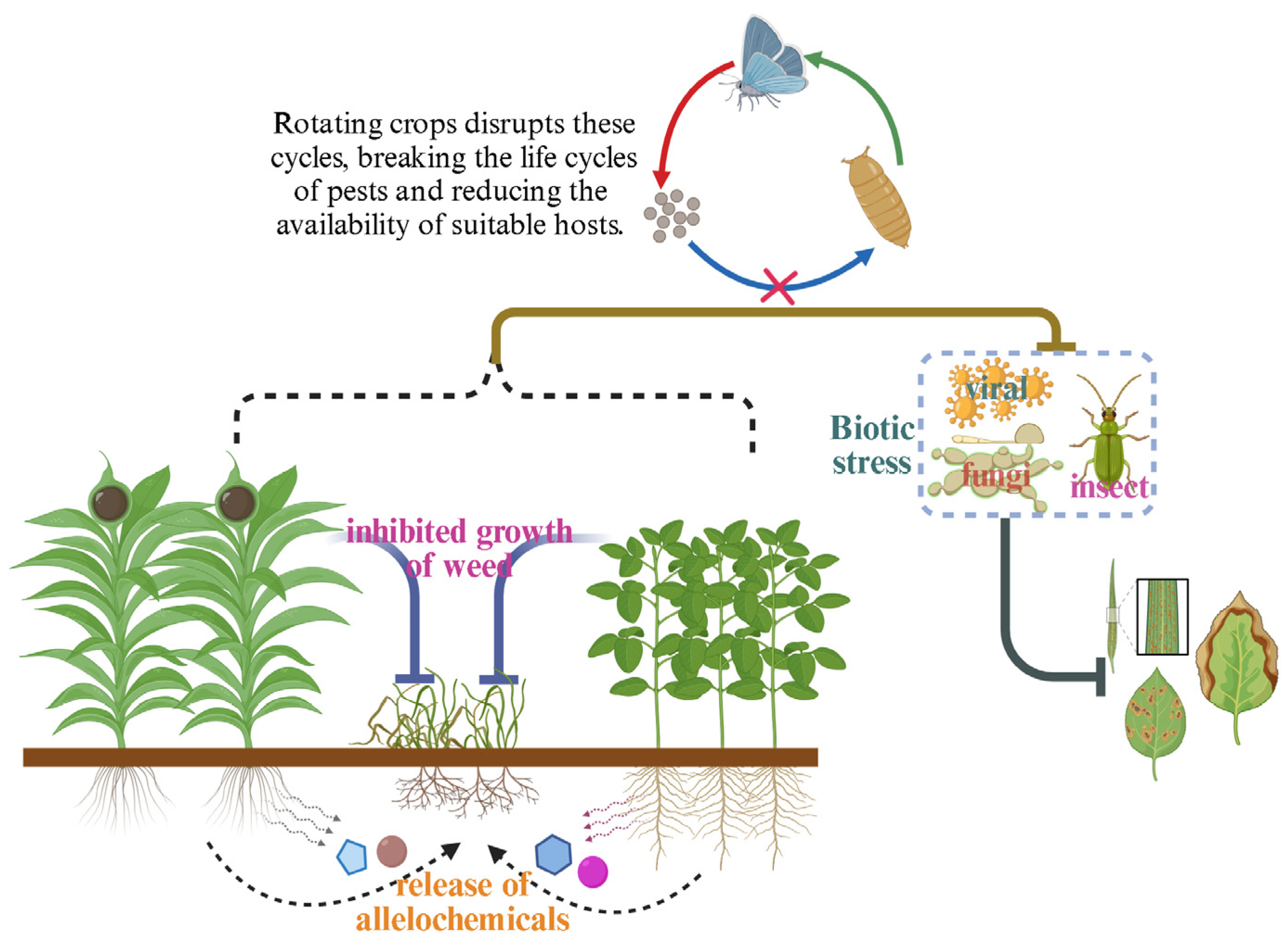 Agriculture 14 01465 g002 Agriculture 14 01465 g002
