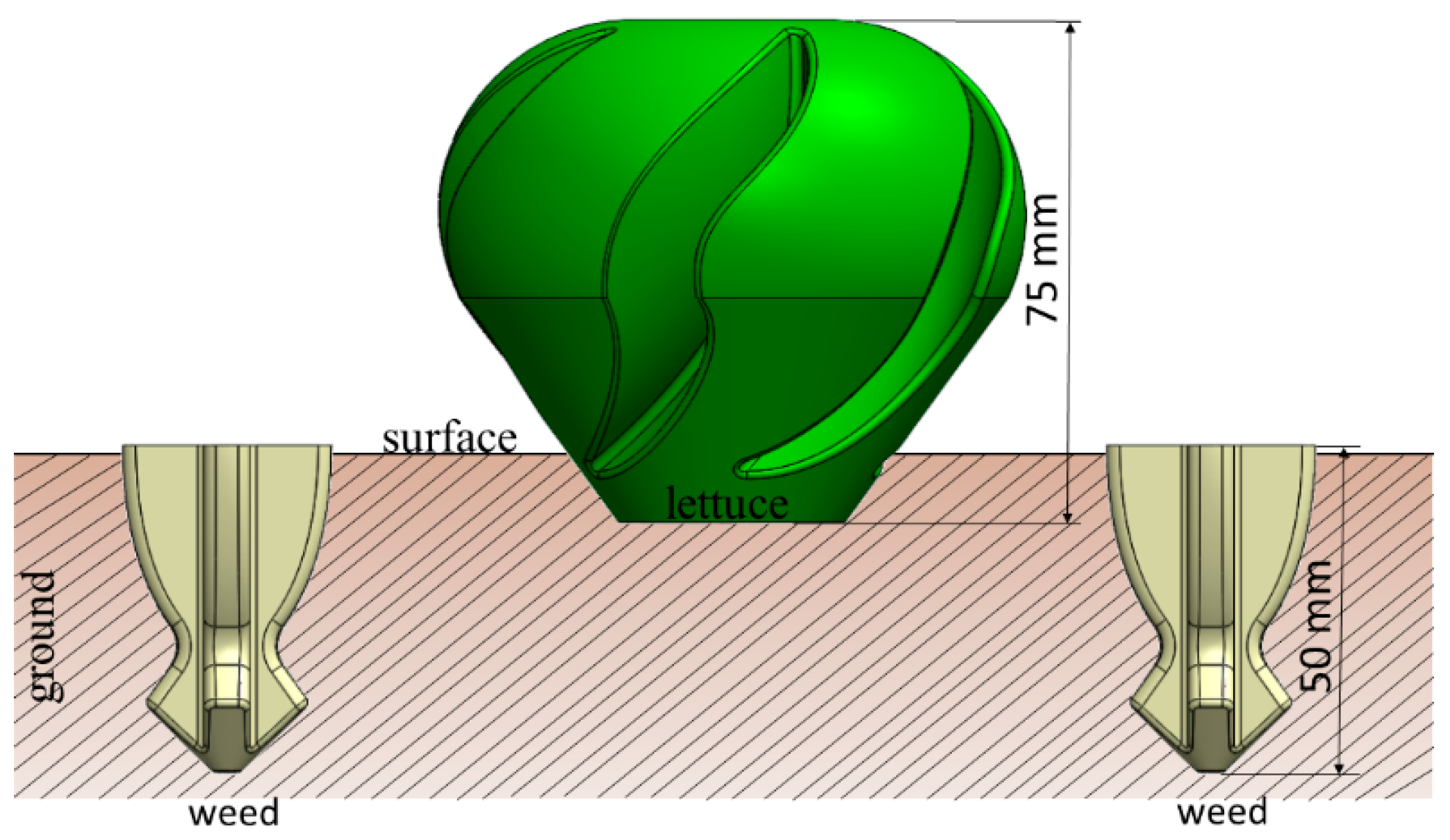 Agriculture 14 01483 g004