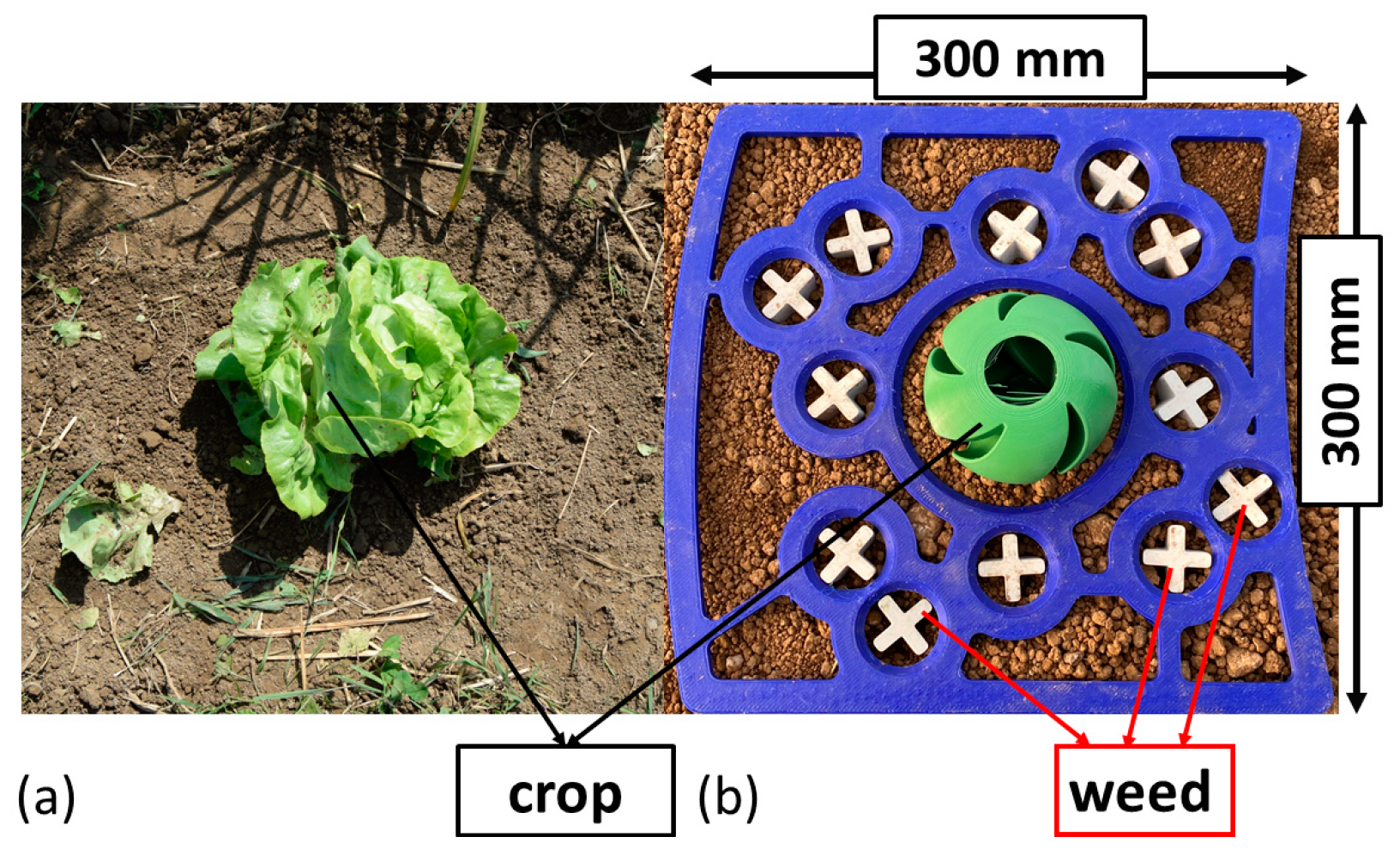 Agriculture 14 01483 g005