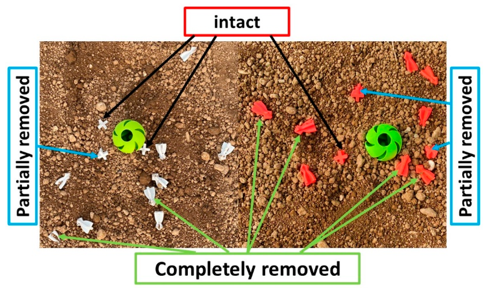Agriculture 14 01483 g007