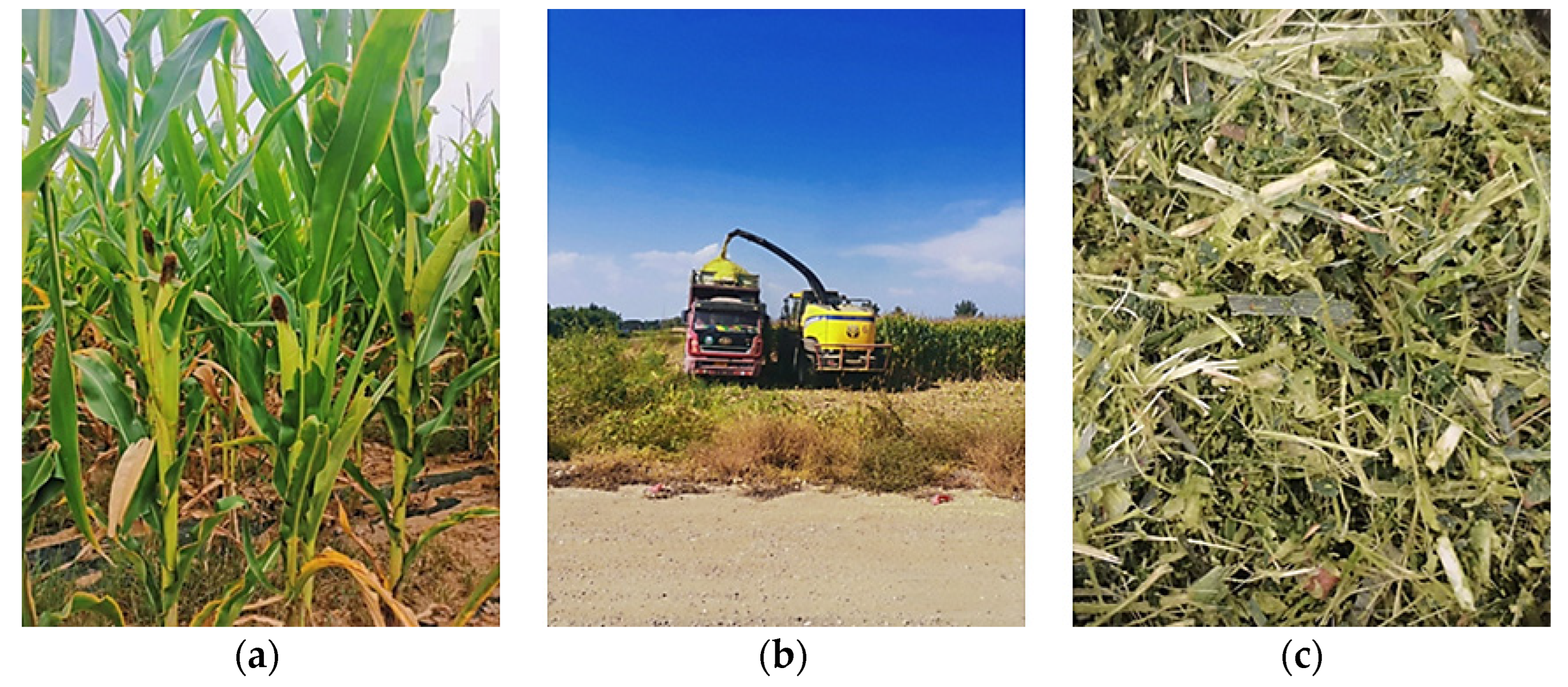 Agriculture 14 01484 g002