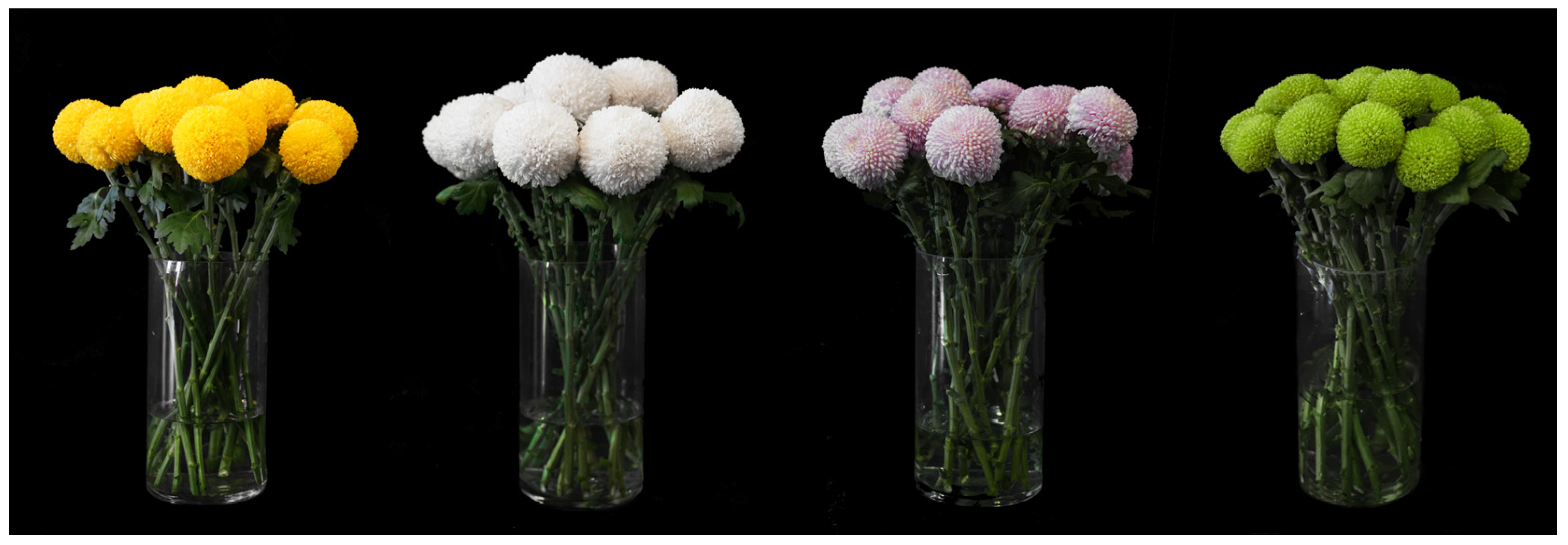 Agriculture 14 01507 g002