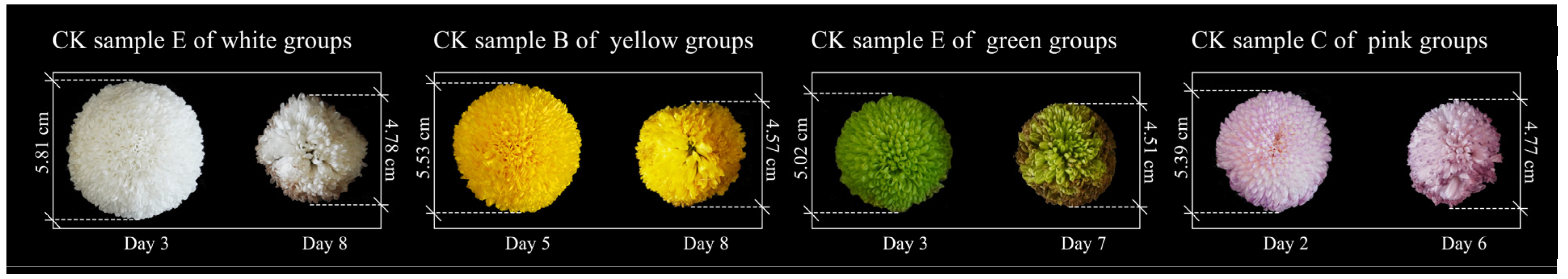 Agriculture 14 01507 g005