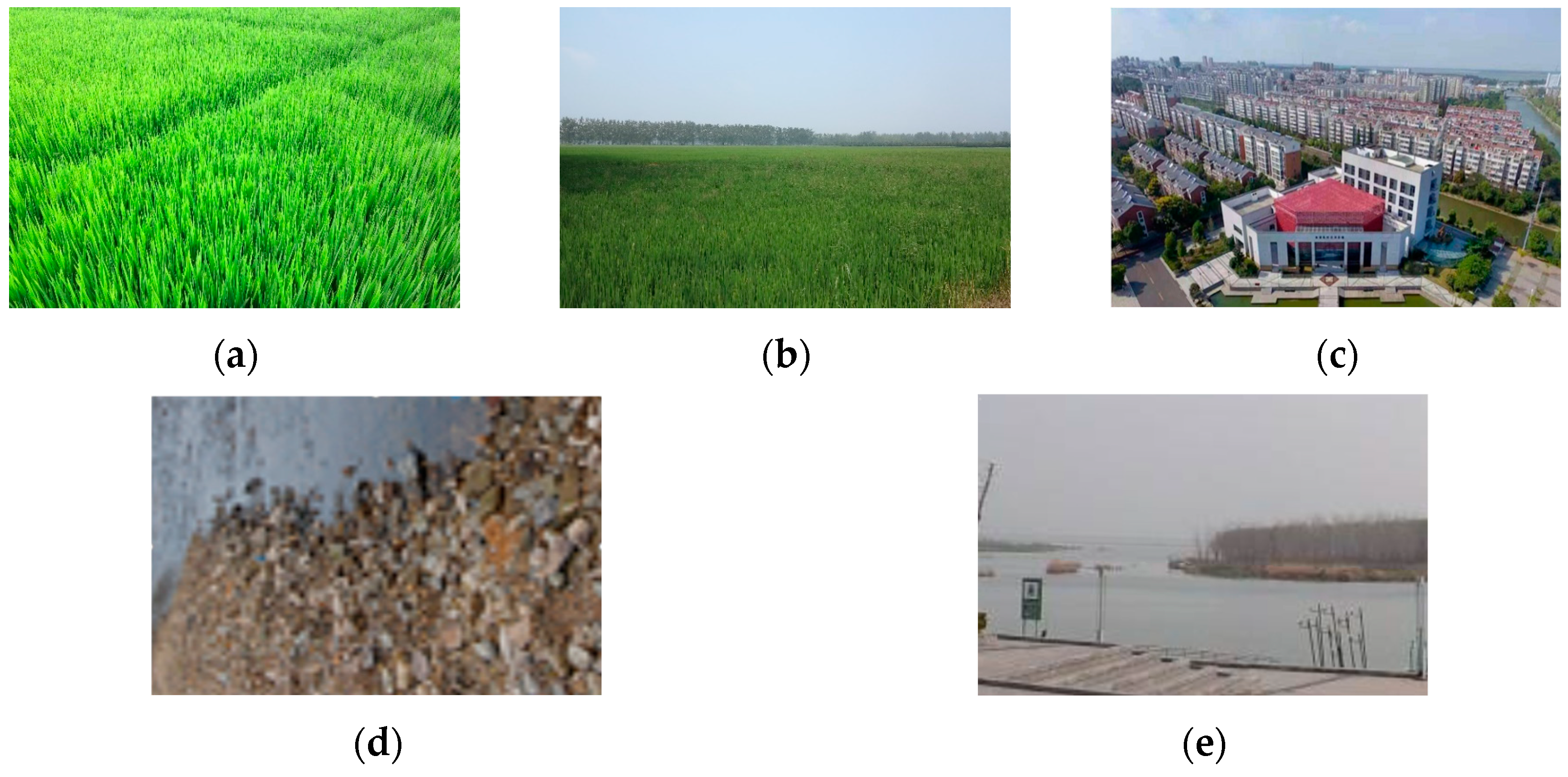 Agriculture 14 01511 g002