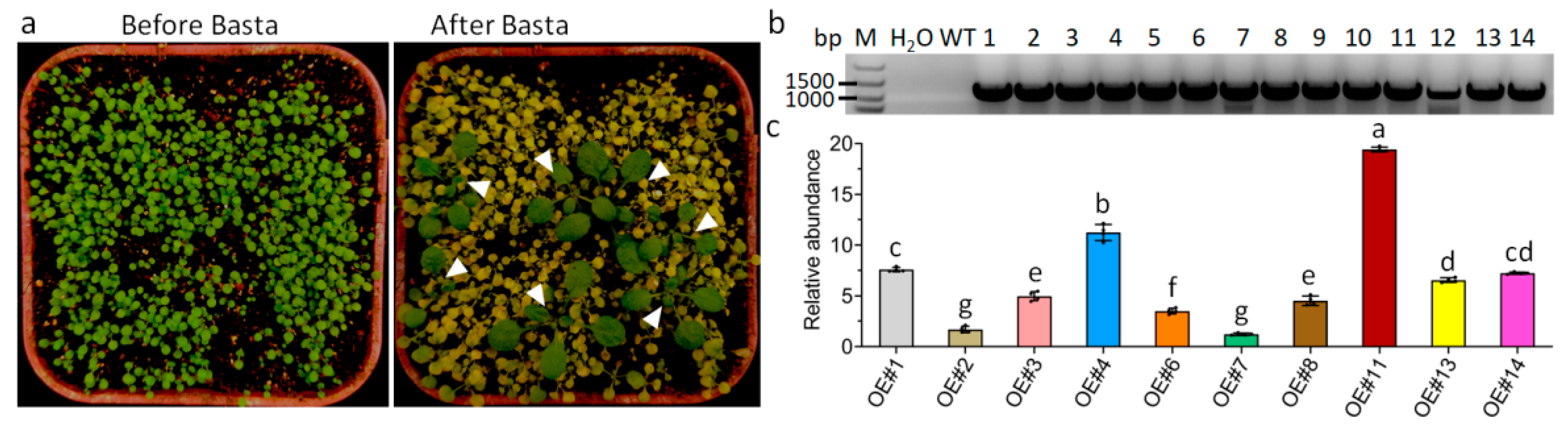 Agriculture 14 01524 g003