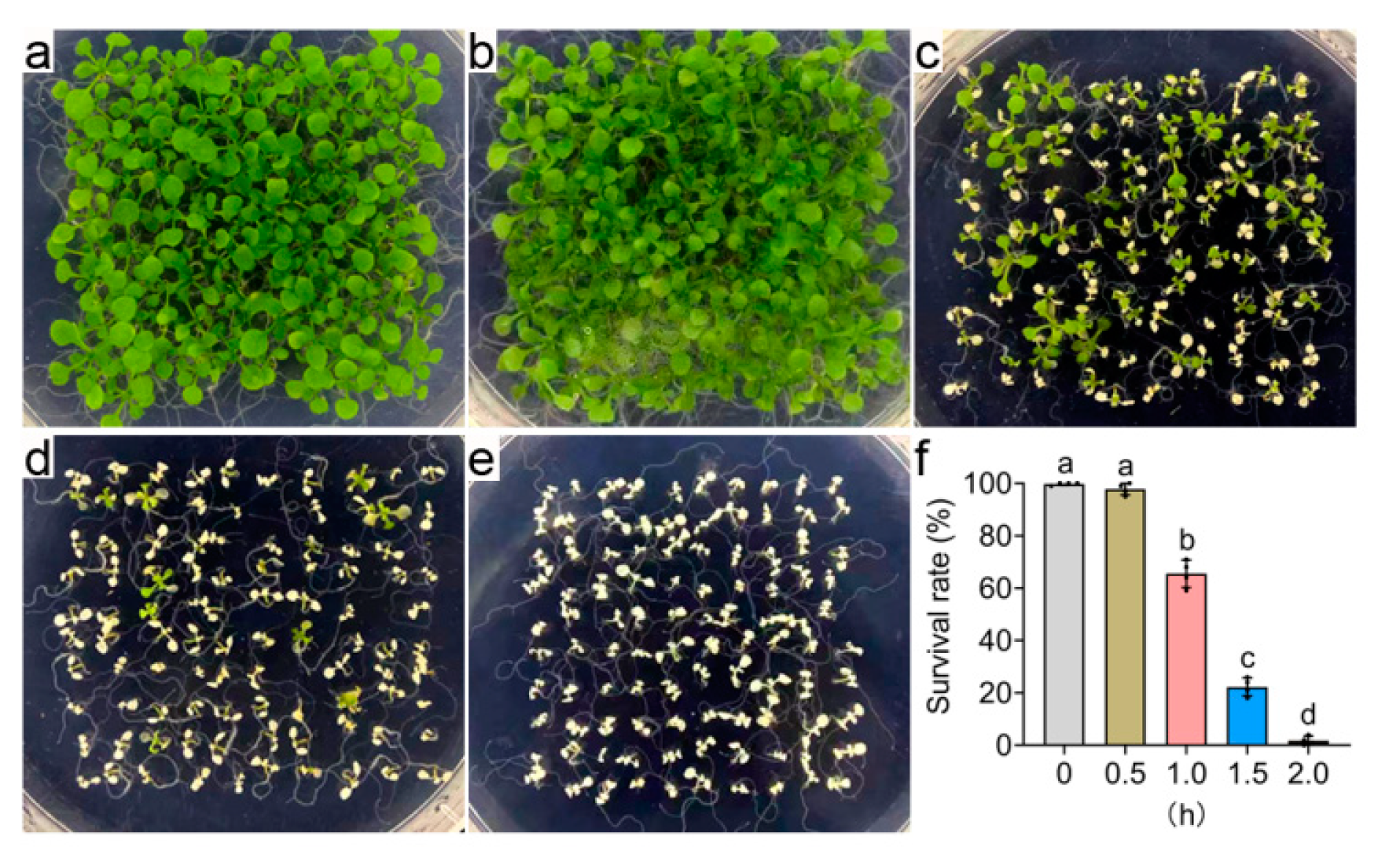 Agriculture 14 01524 g004