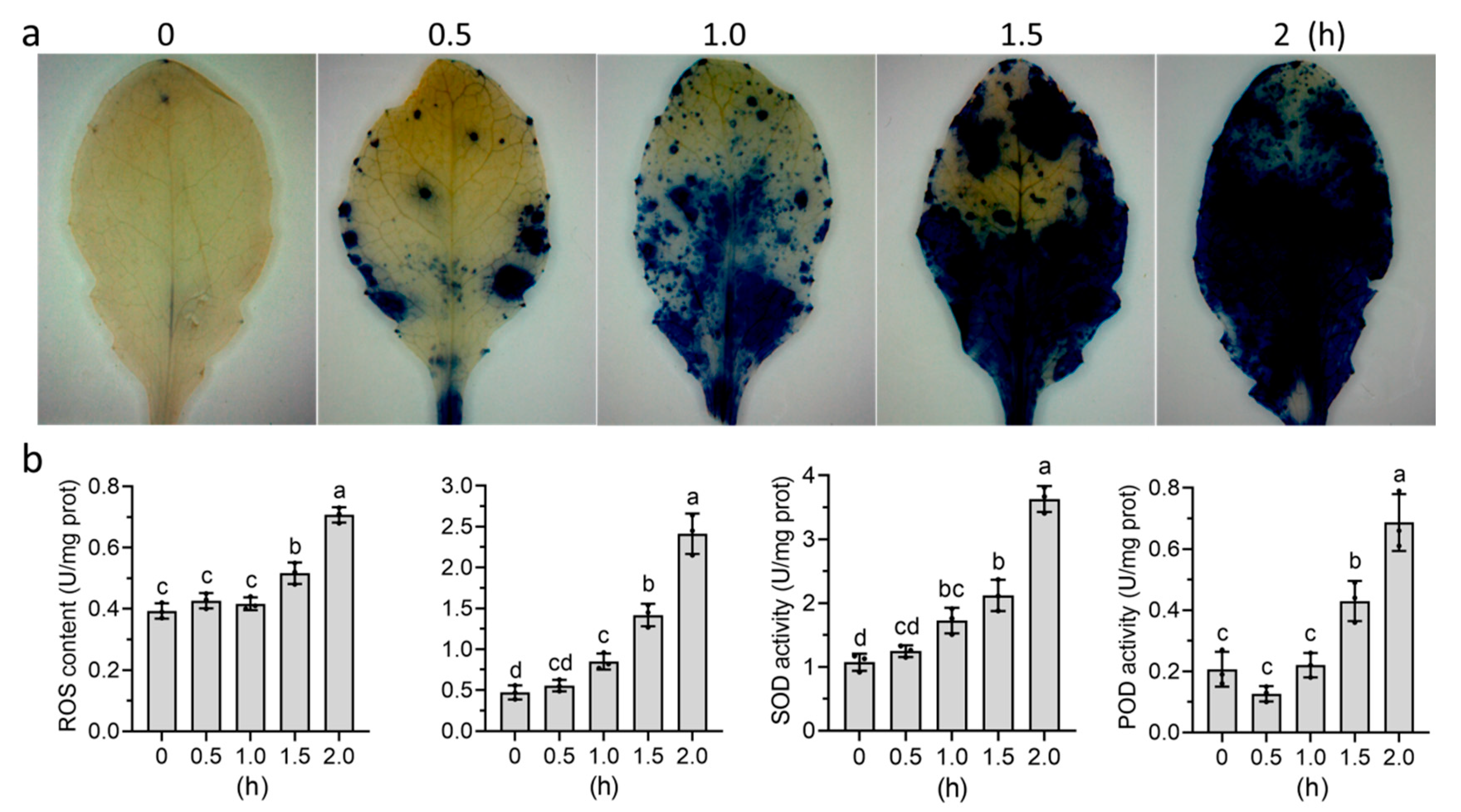 Agriculture 14 01524 g005