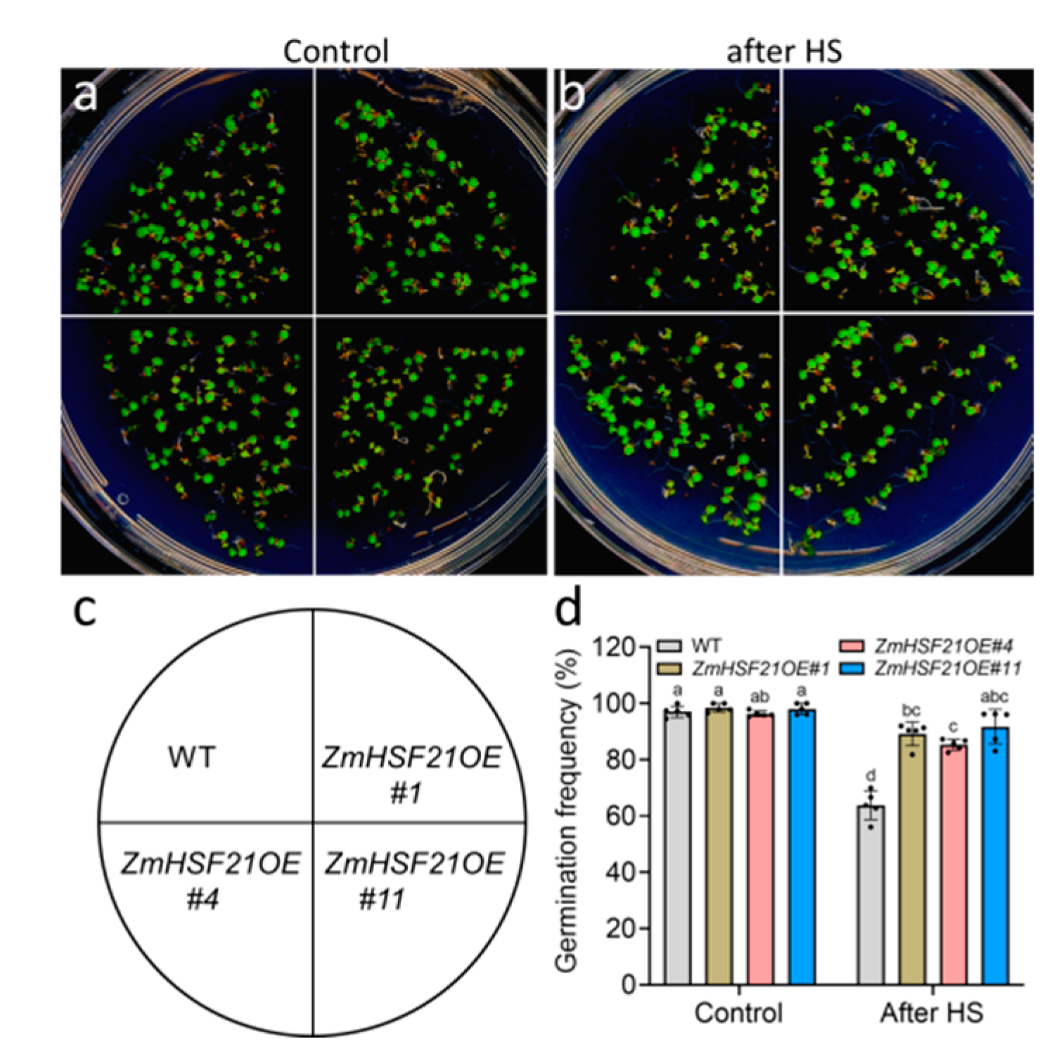 Agriculture 14 01524 g006