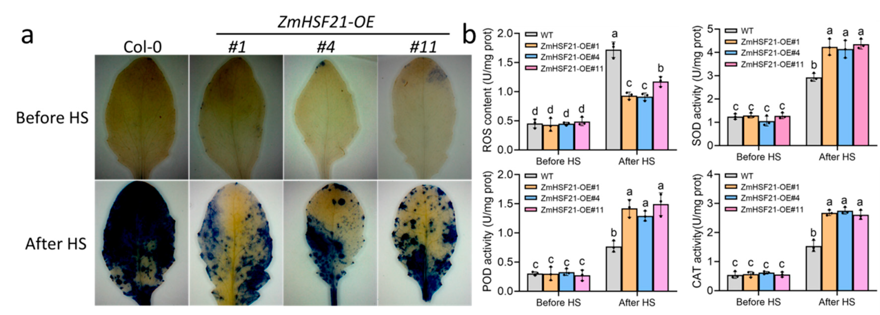 Agriculture 14 01524 g009