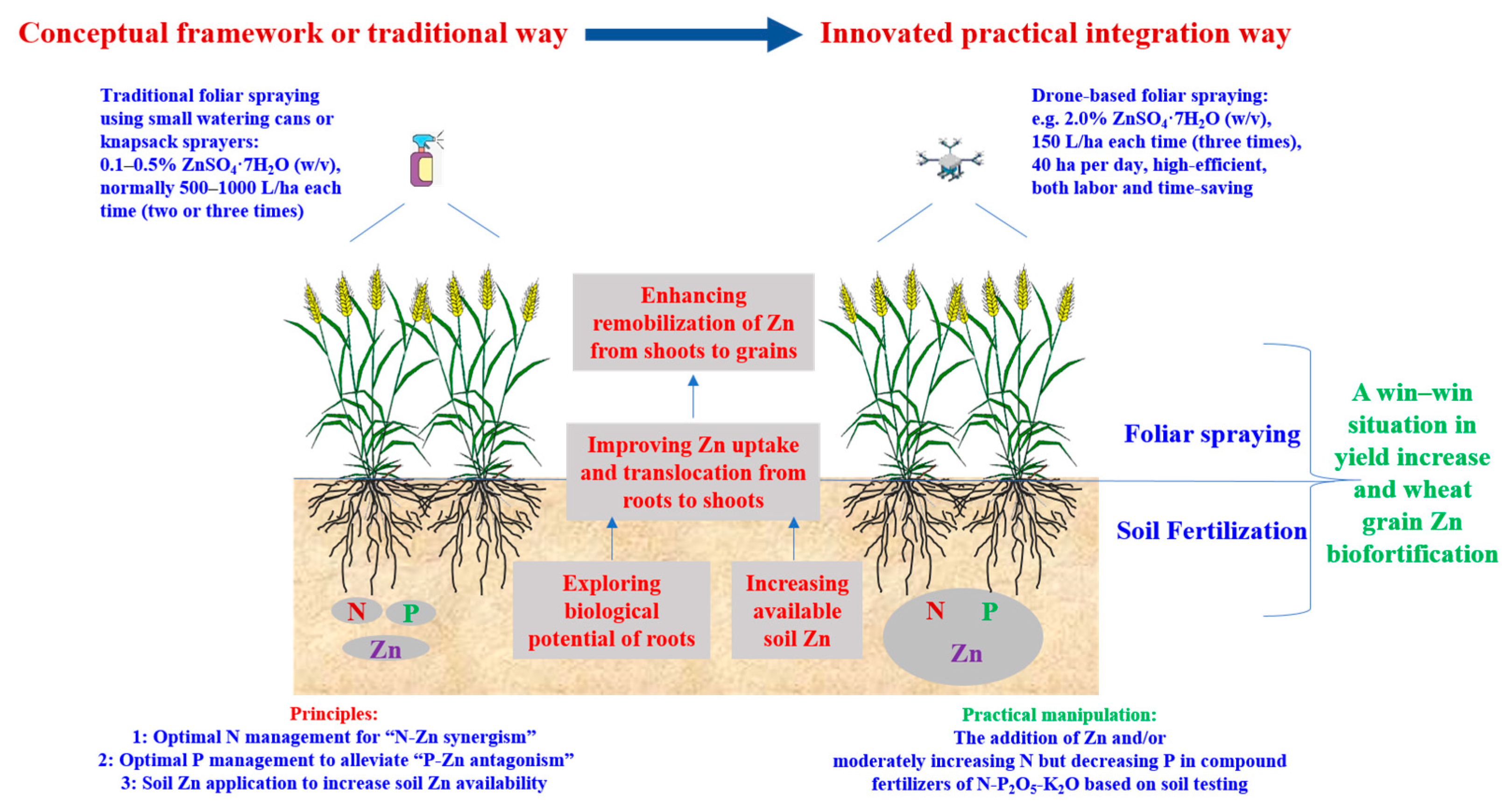 Agriculture 14 01530 g003