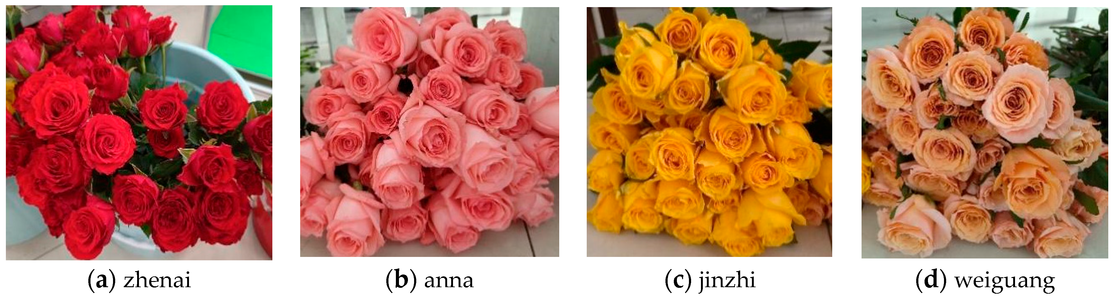 Agriculture 14 01532 g003