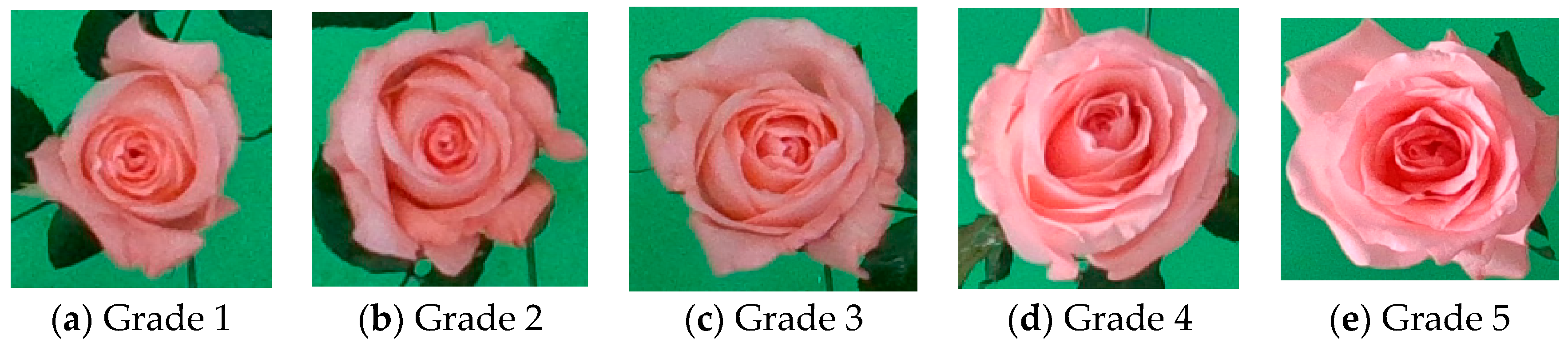 Agriculture 14 01532 g004