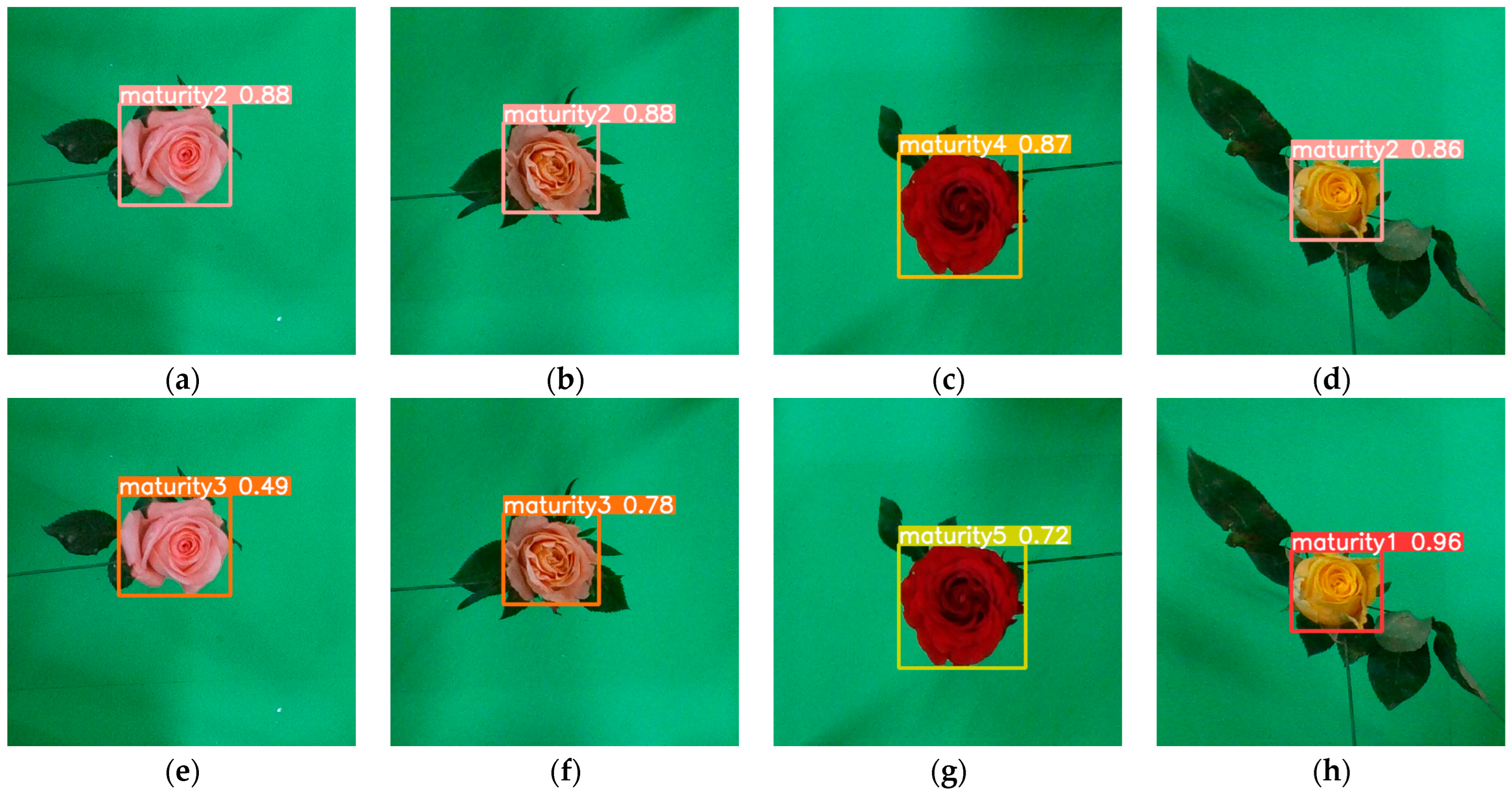 Agriculture 14 01532 g013