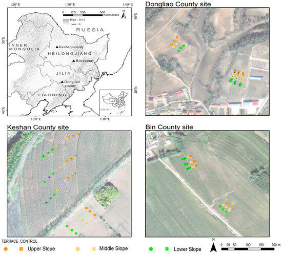 Effects of Terracing on Soil Aggregate Stability and