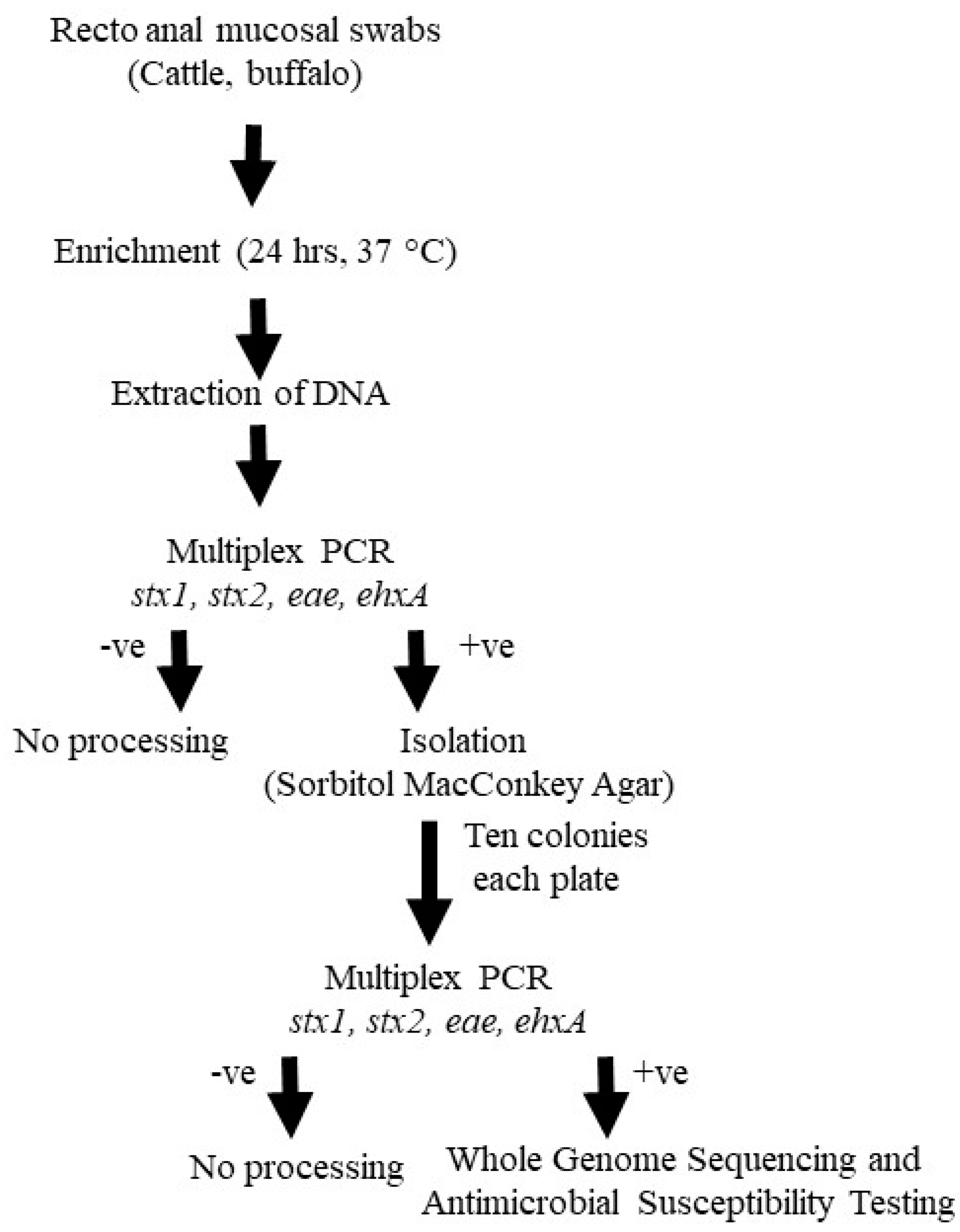 Agriculture 14 01537 g001
