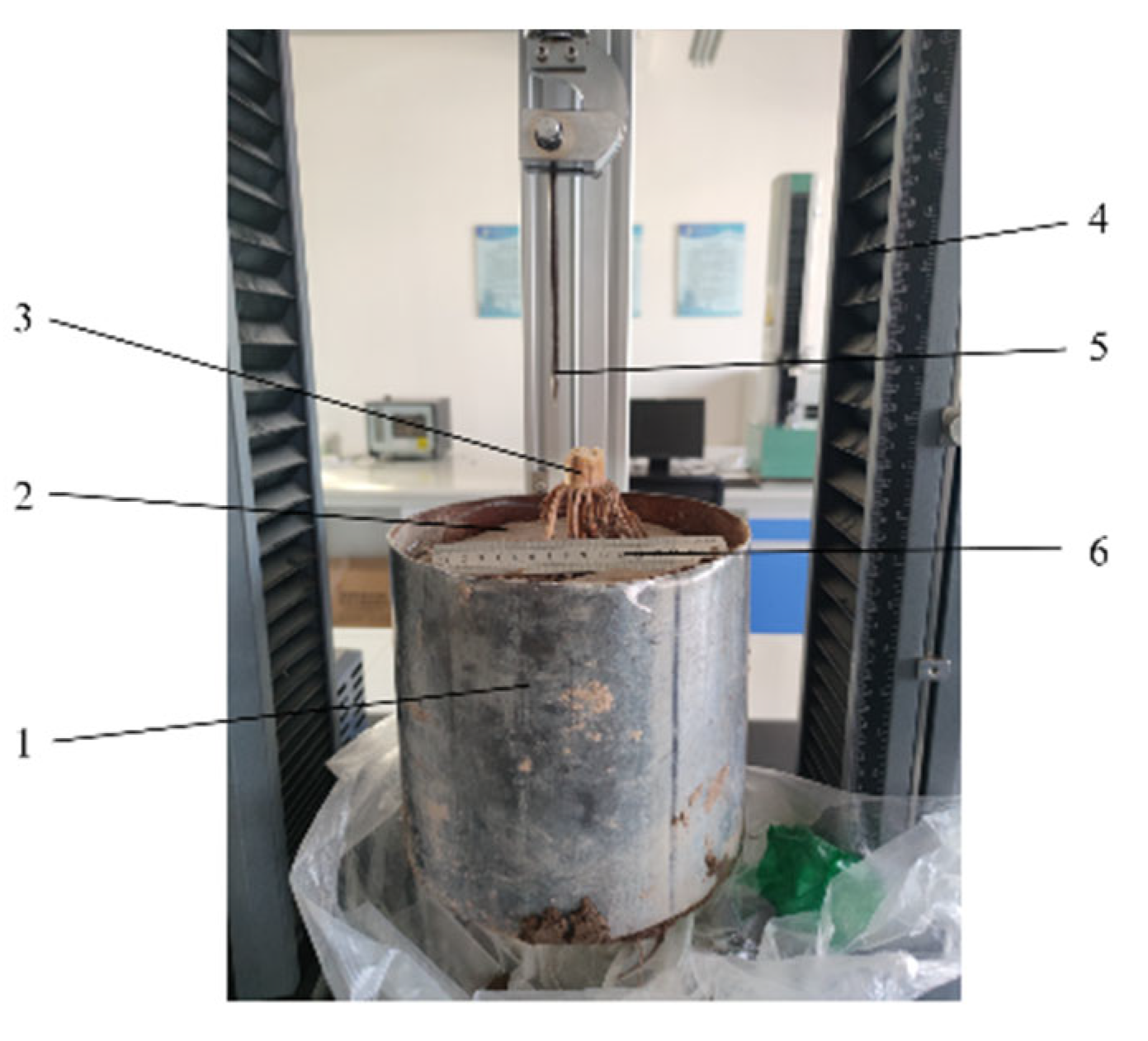 Agriculture 14 01542 g008