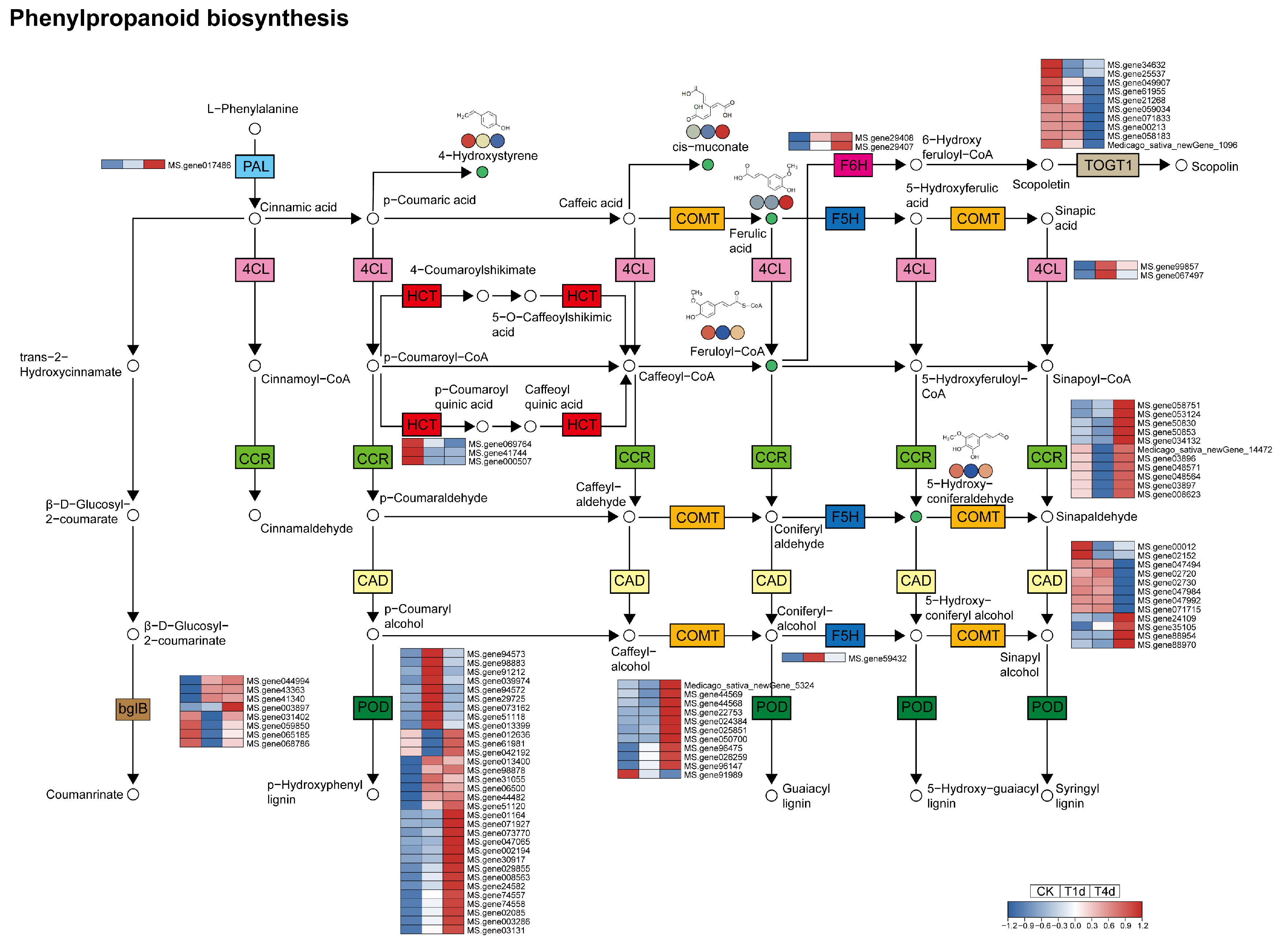 Agriculture 14 01545 g006
