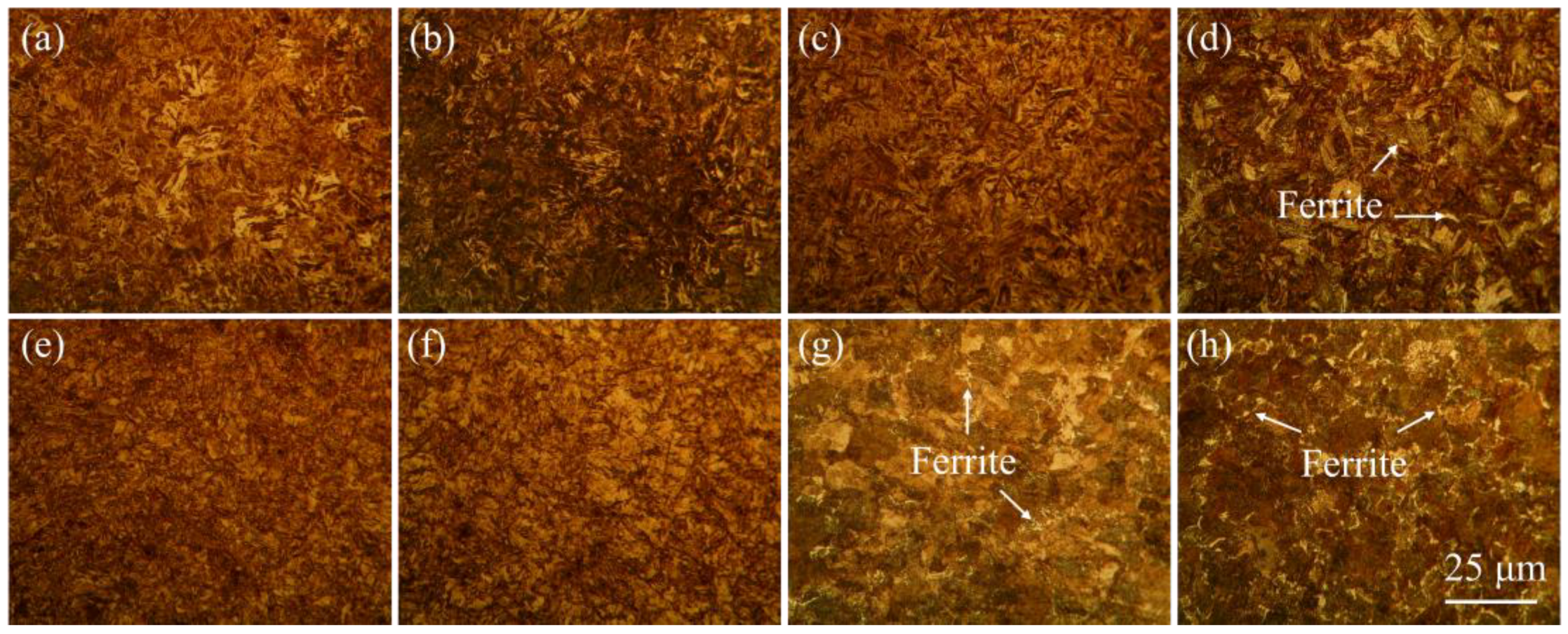 Agriculture 14 01555 g005