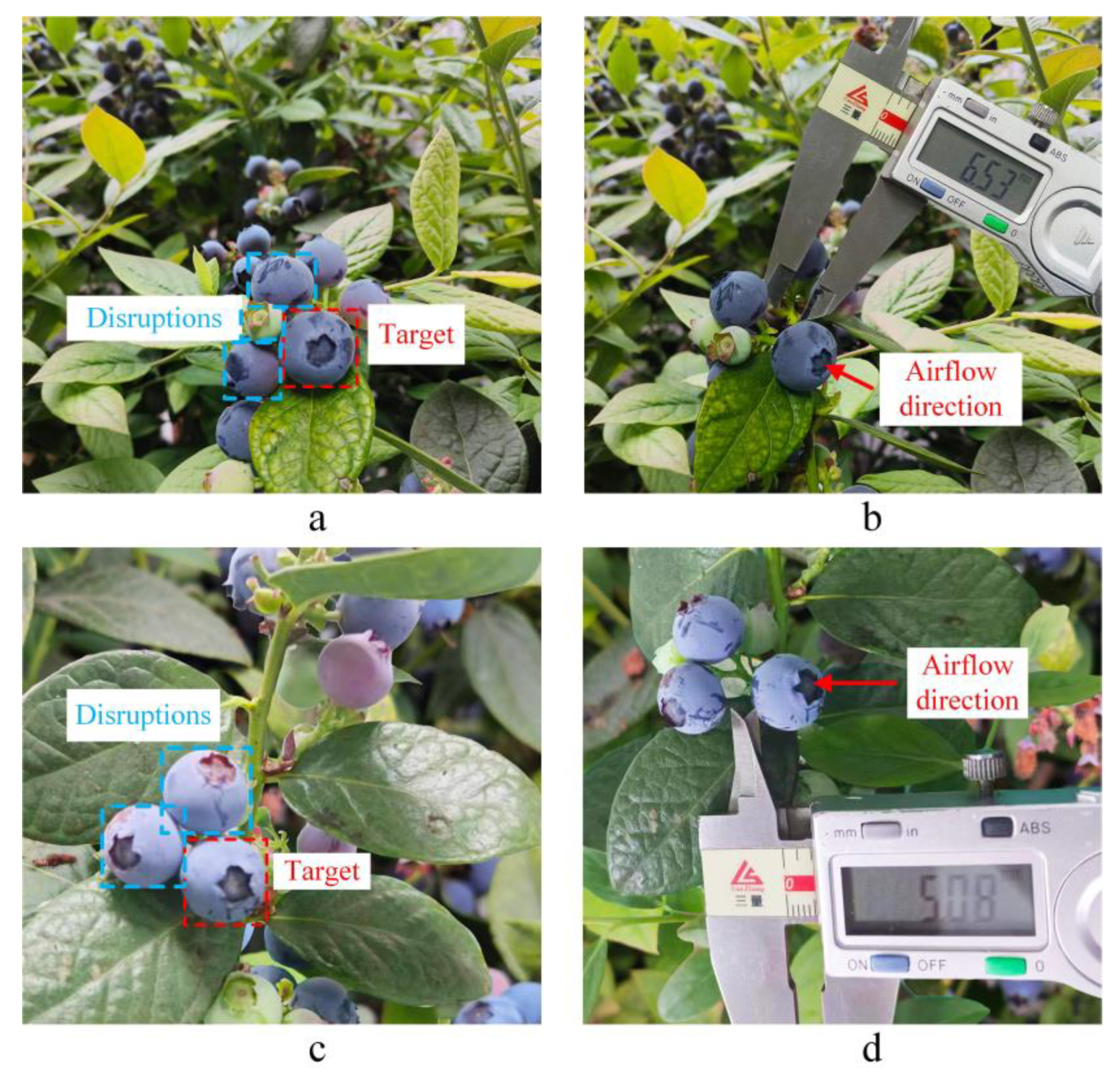 Agriculture 14 01563 g016