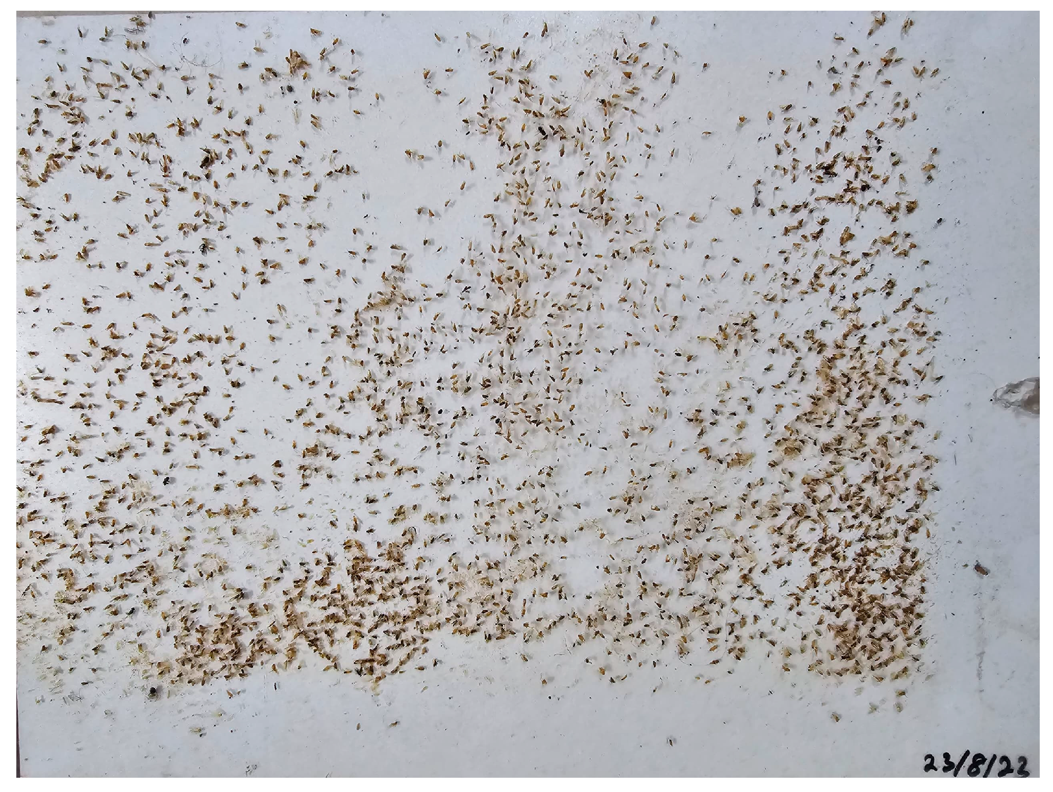 Agriculture 14 01567 g003