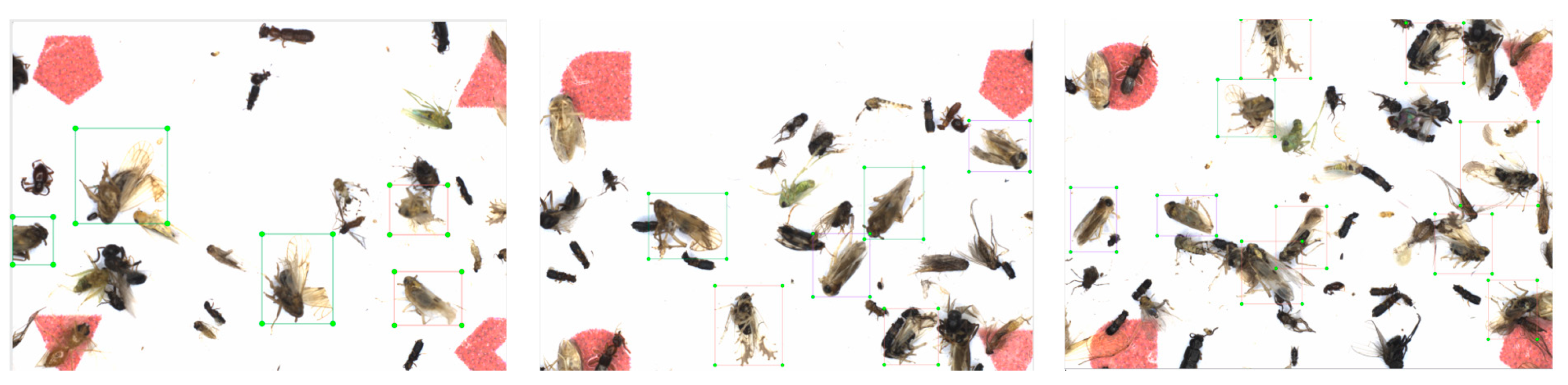 Agriculture 14 01567 g006