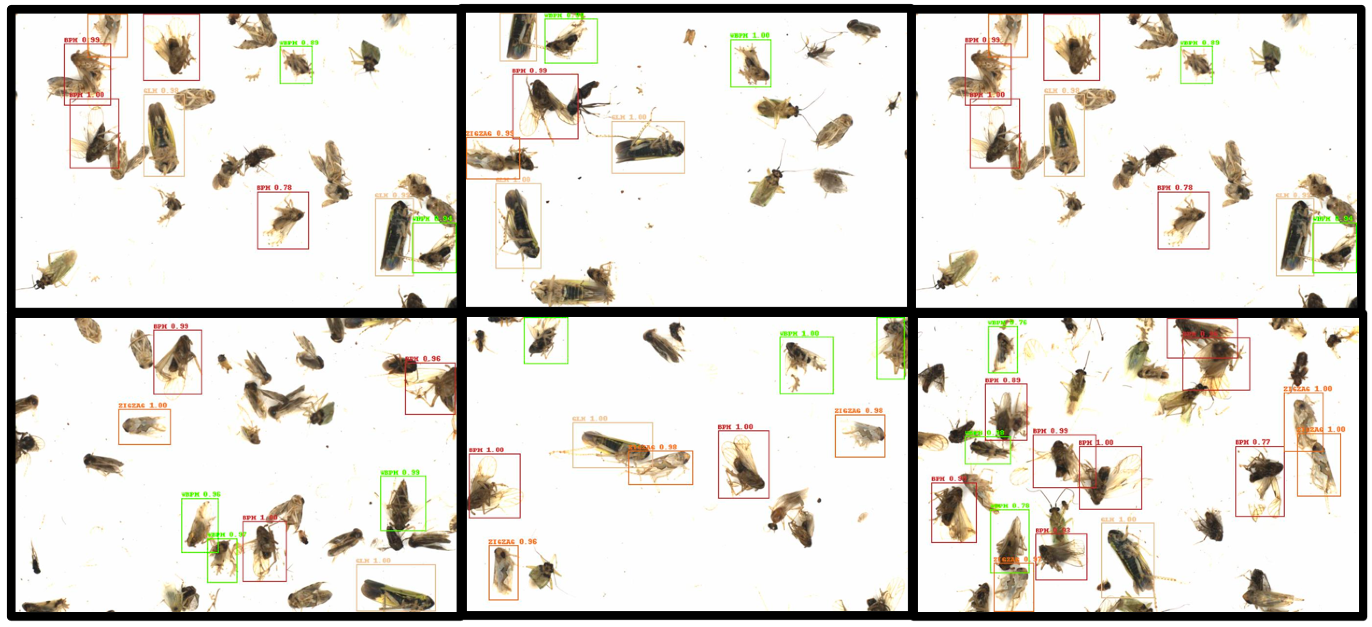 Agriculture 14 01567 g011