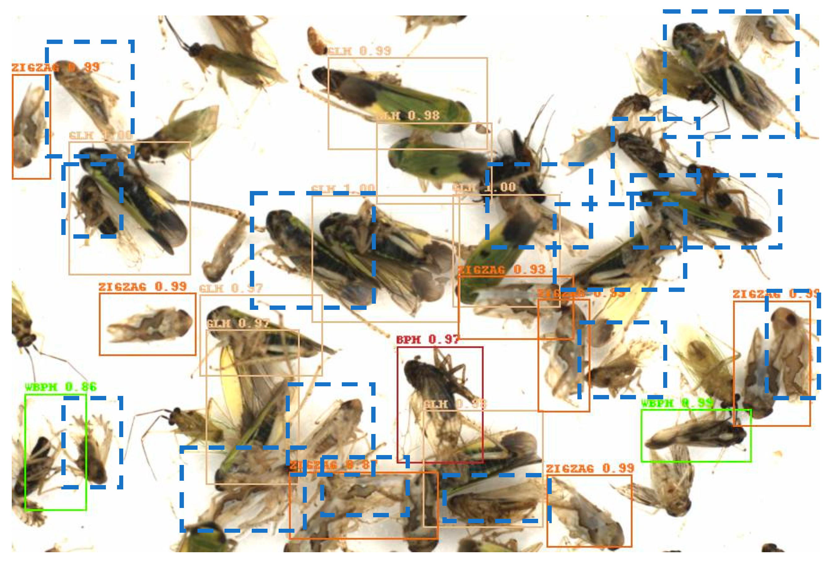 Agriculture 14 01567 g013