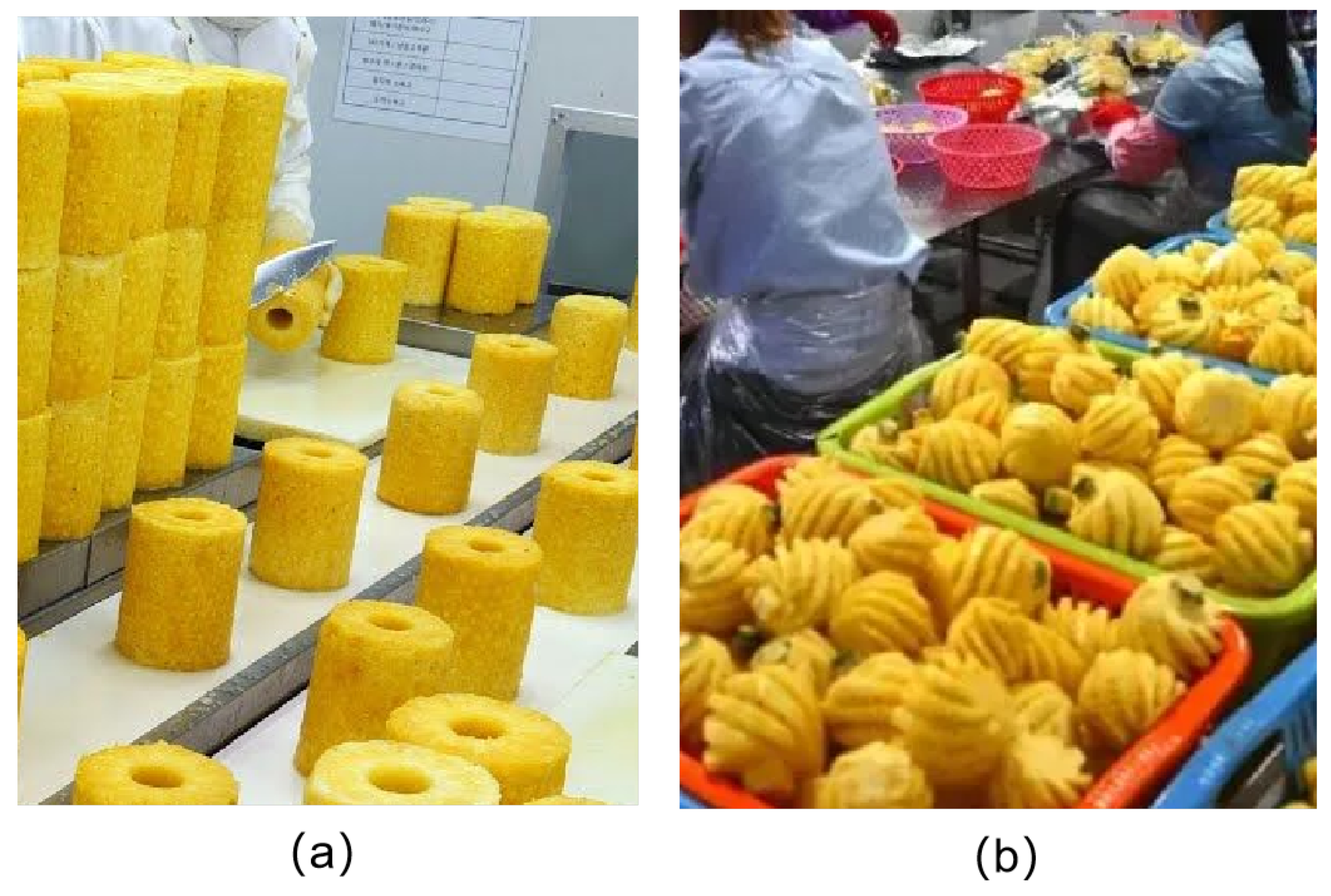 Agriculture 14 01569 g001