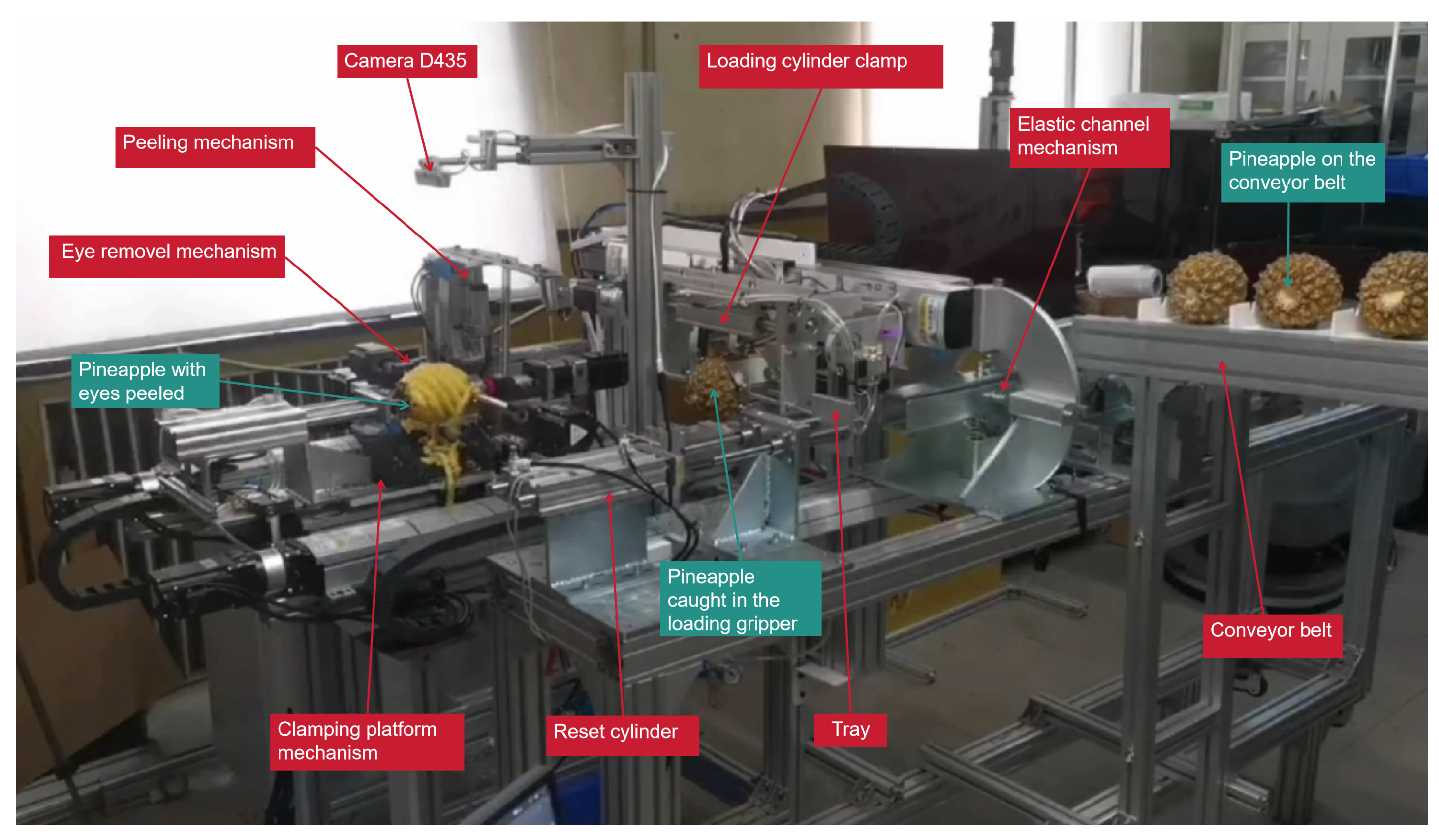 Agriculture 14 01569 g008