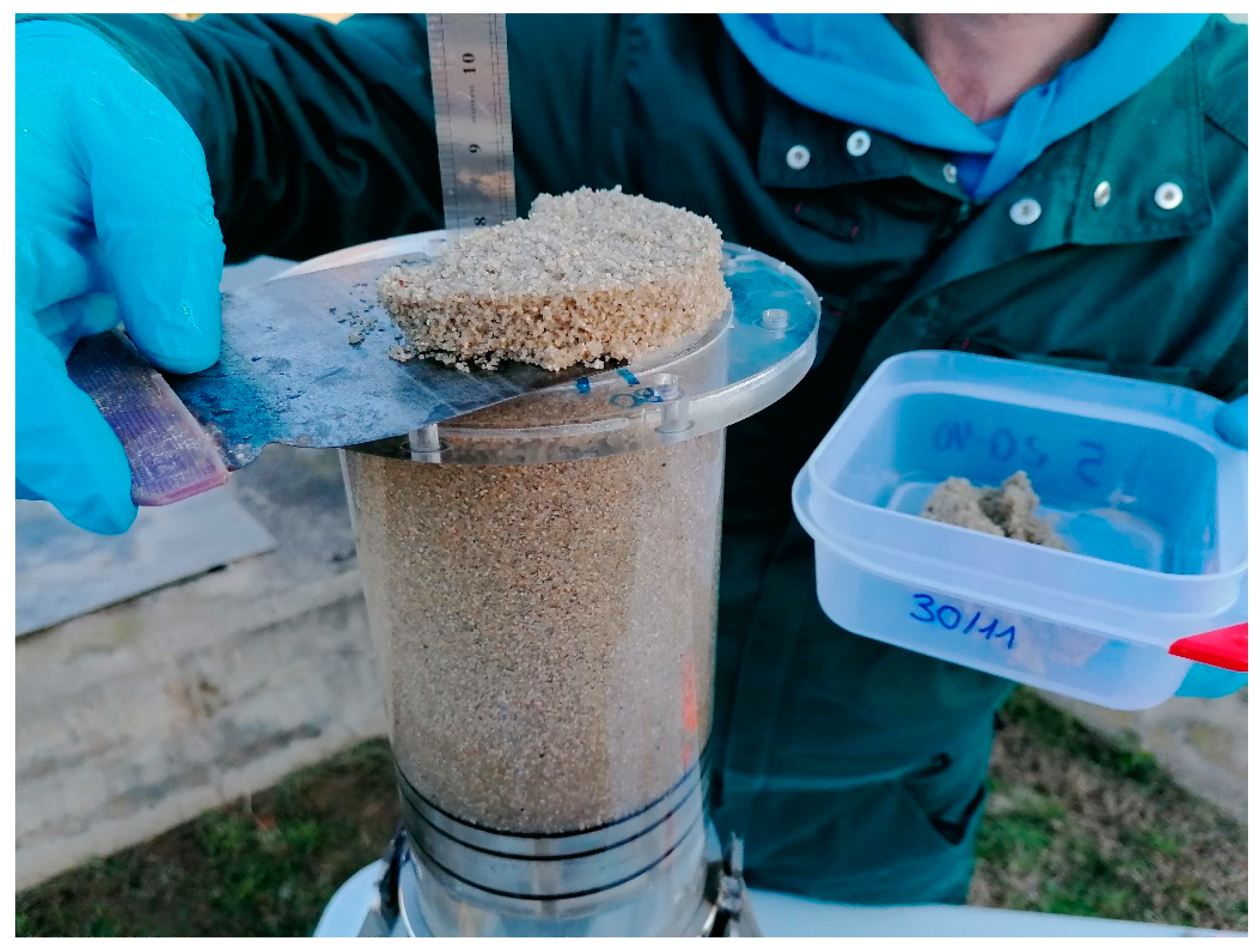 Agriculture 14 01570 g003