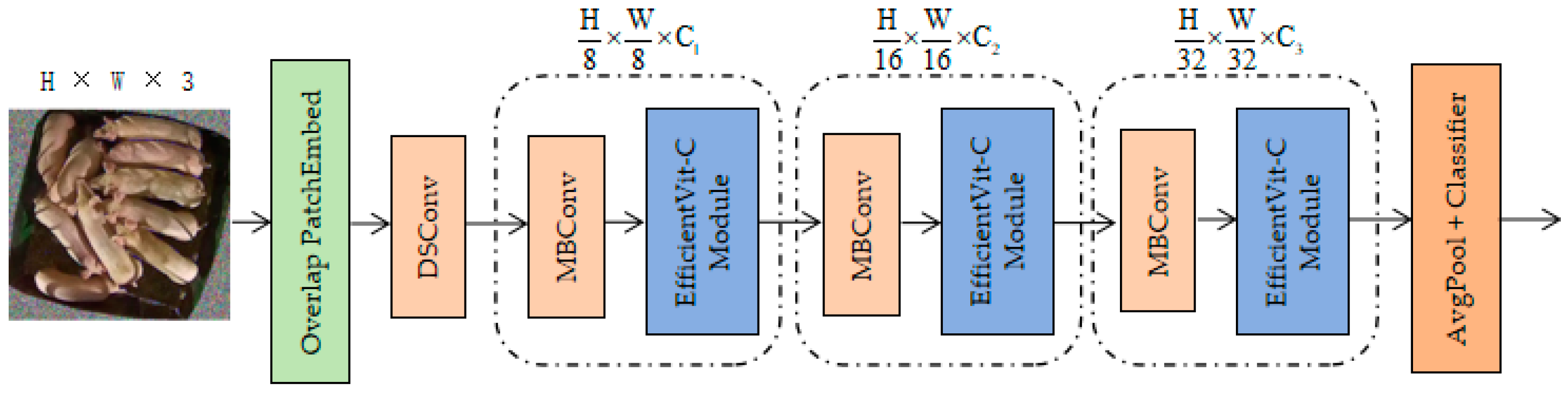 Agriculture 14 01571 g003