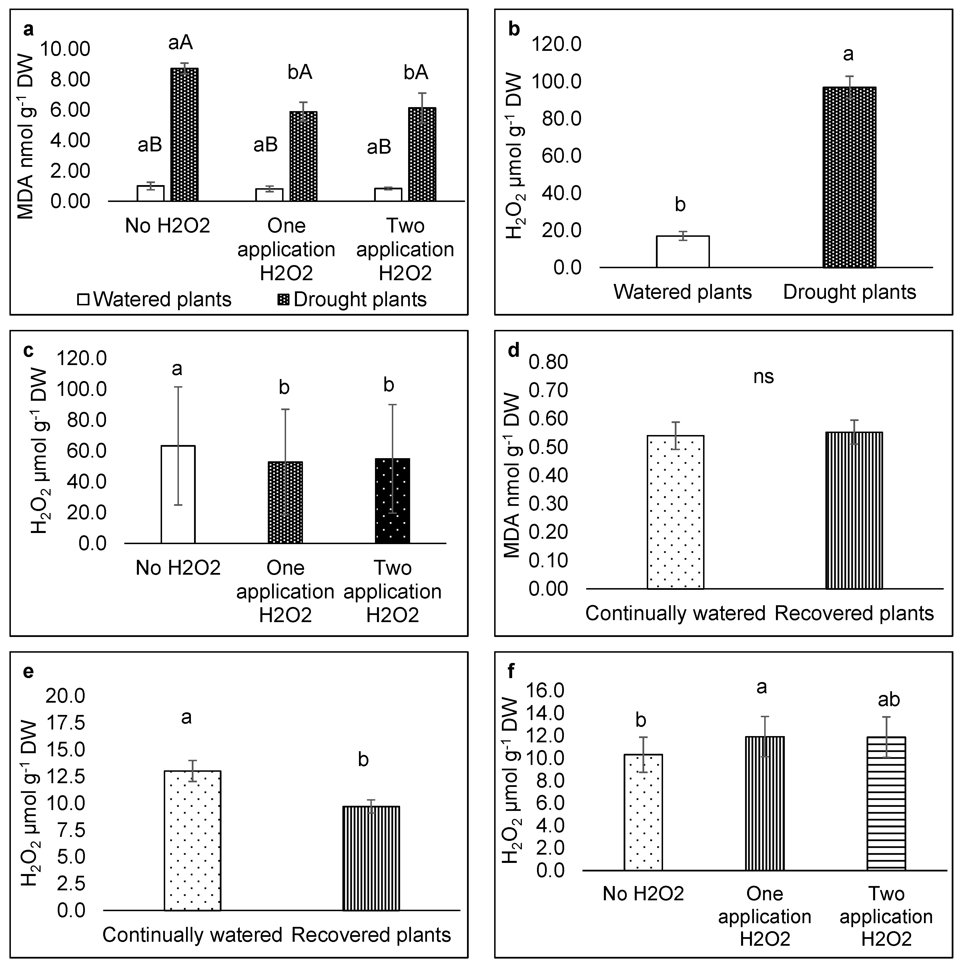 Agriculture 14 01572 g004